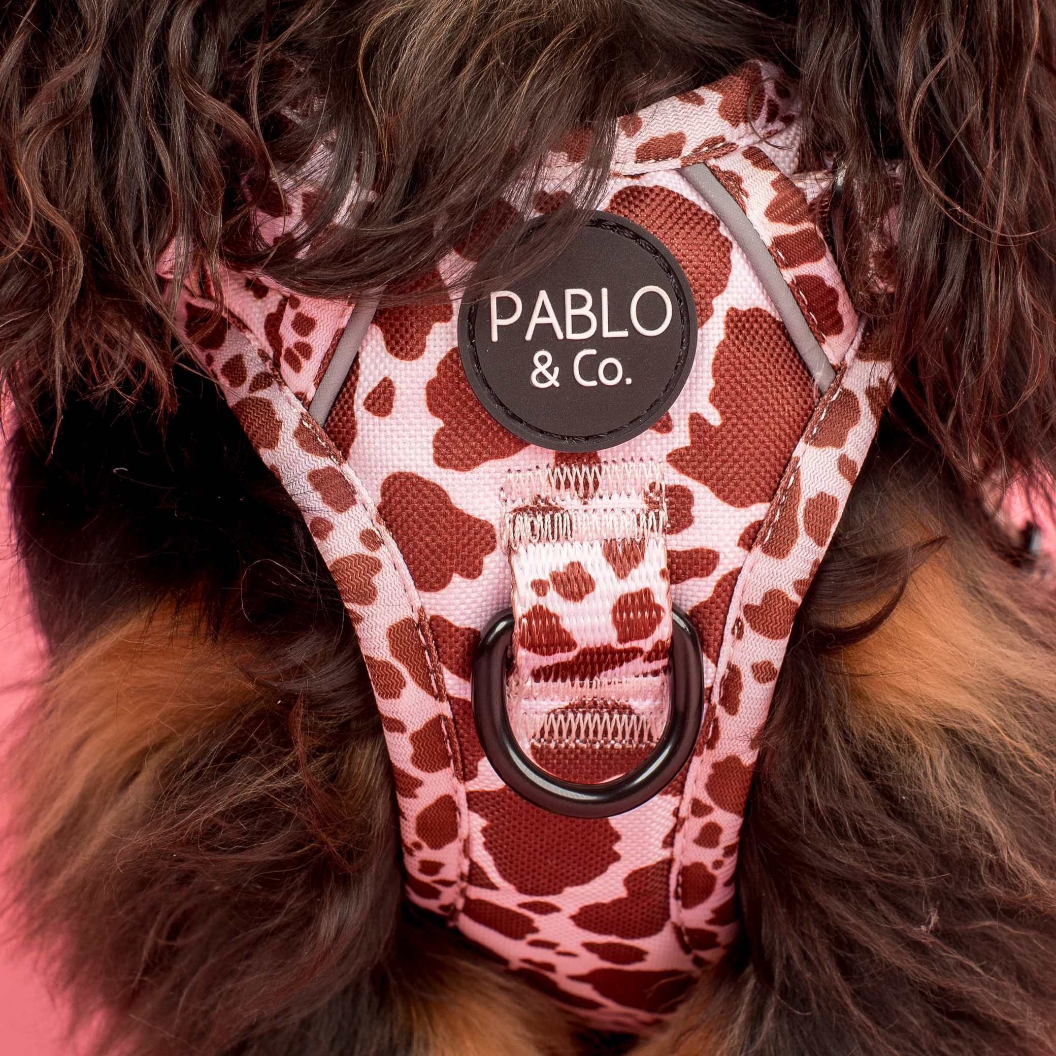 Rodeo: No Pull Adventure Harness - Image 3