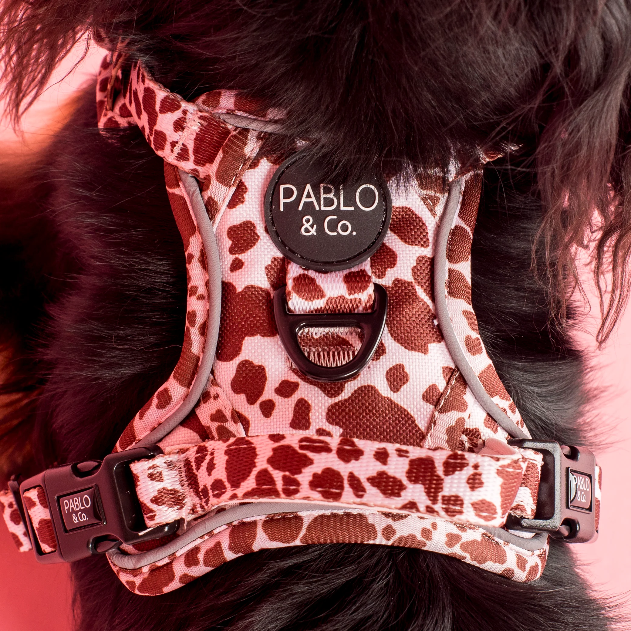 Rodeo: No Pull Adventure Harness - Image 5