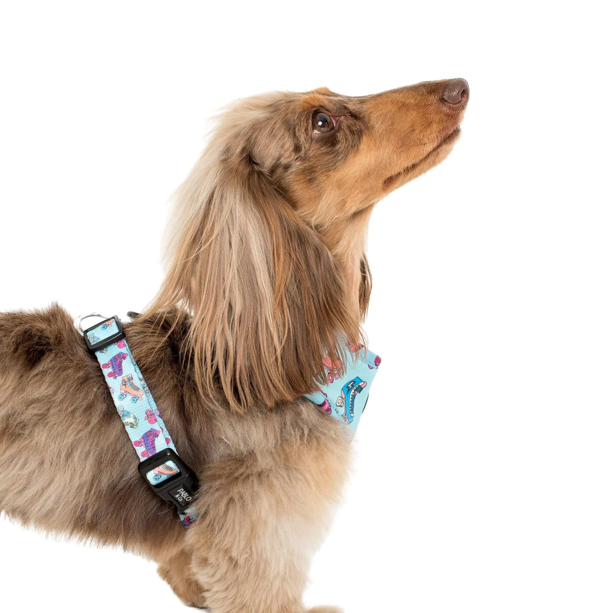 Roller Skates: Adjustable Harness - Image 4