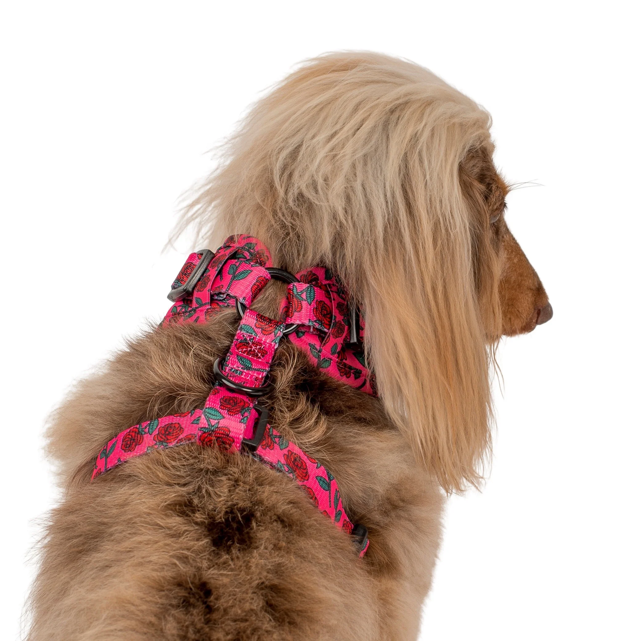 Rosie: Adjustable Harness - Image 7