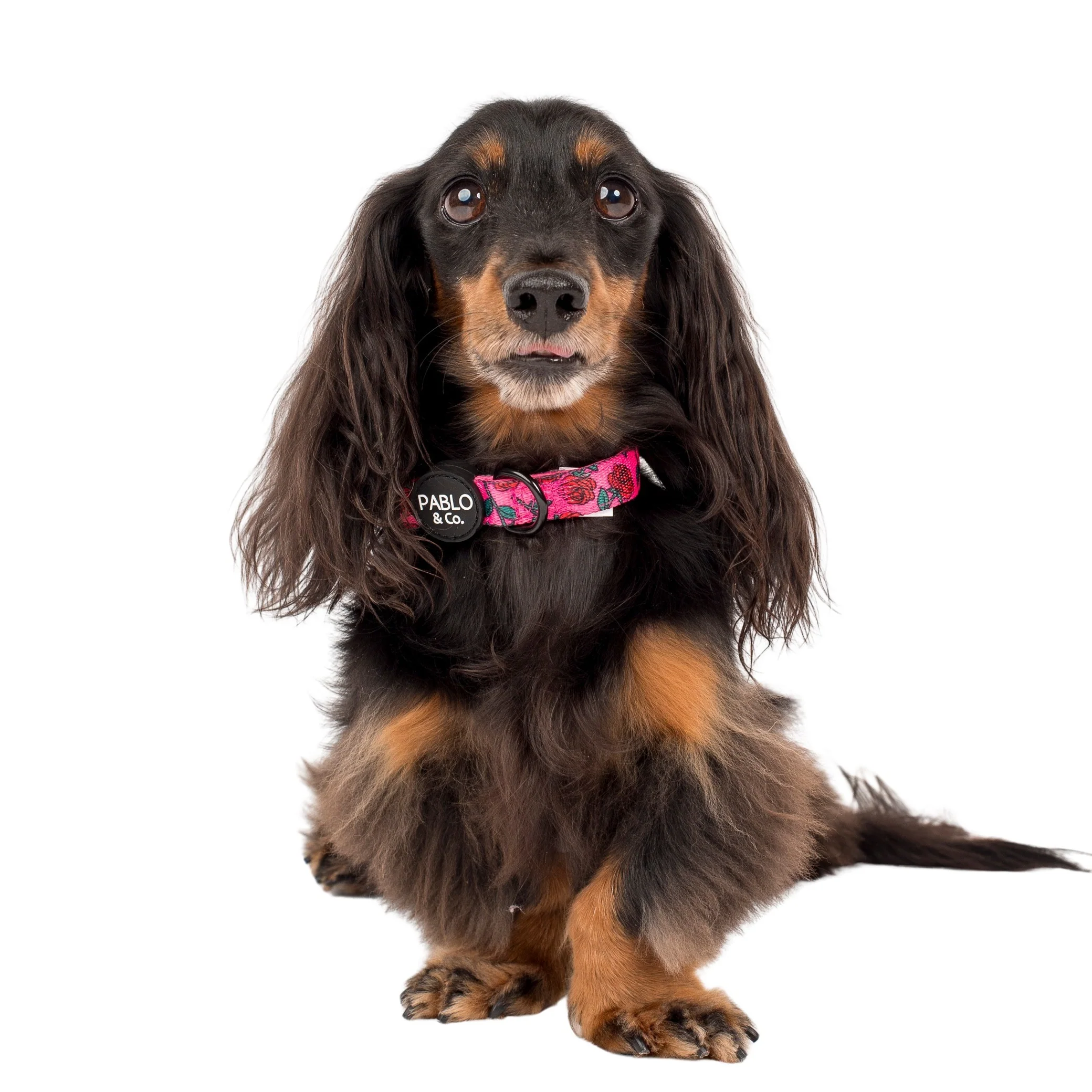Rosie: Collar - Image 2