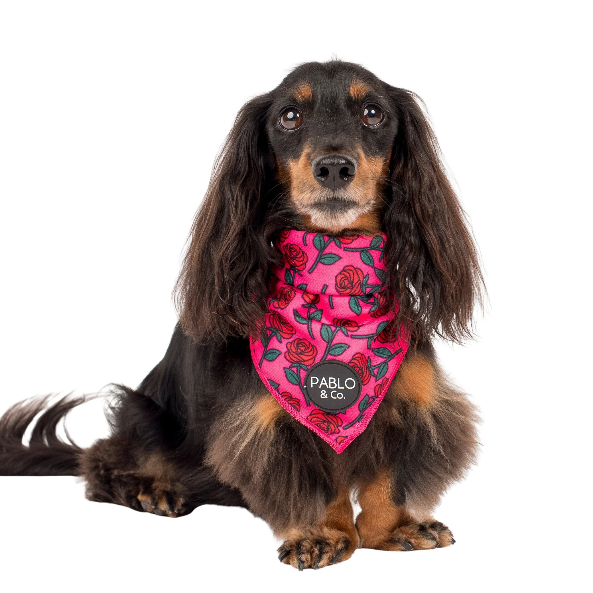 Rosie - Dog Bandana