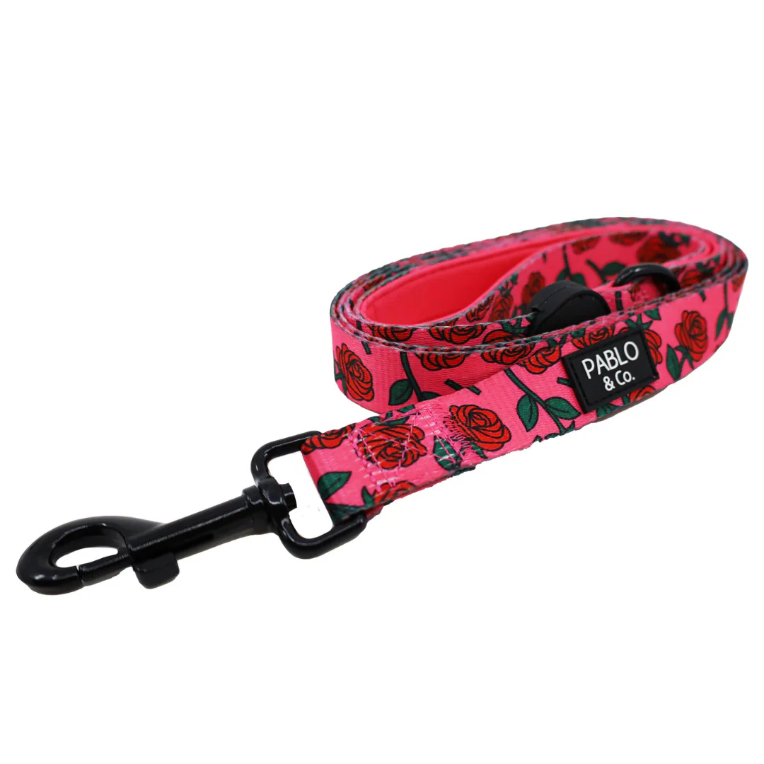 Rosie: Dog Leash