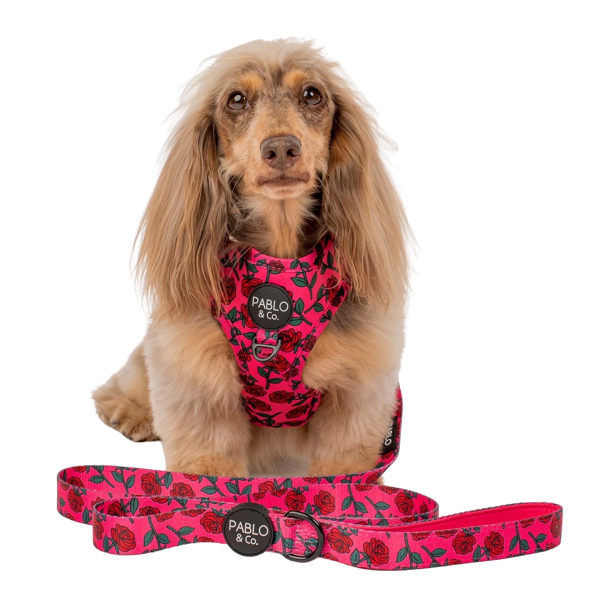 Rosie: Dog Leash - Image 2