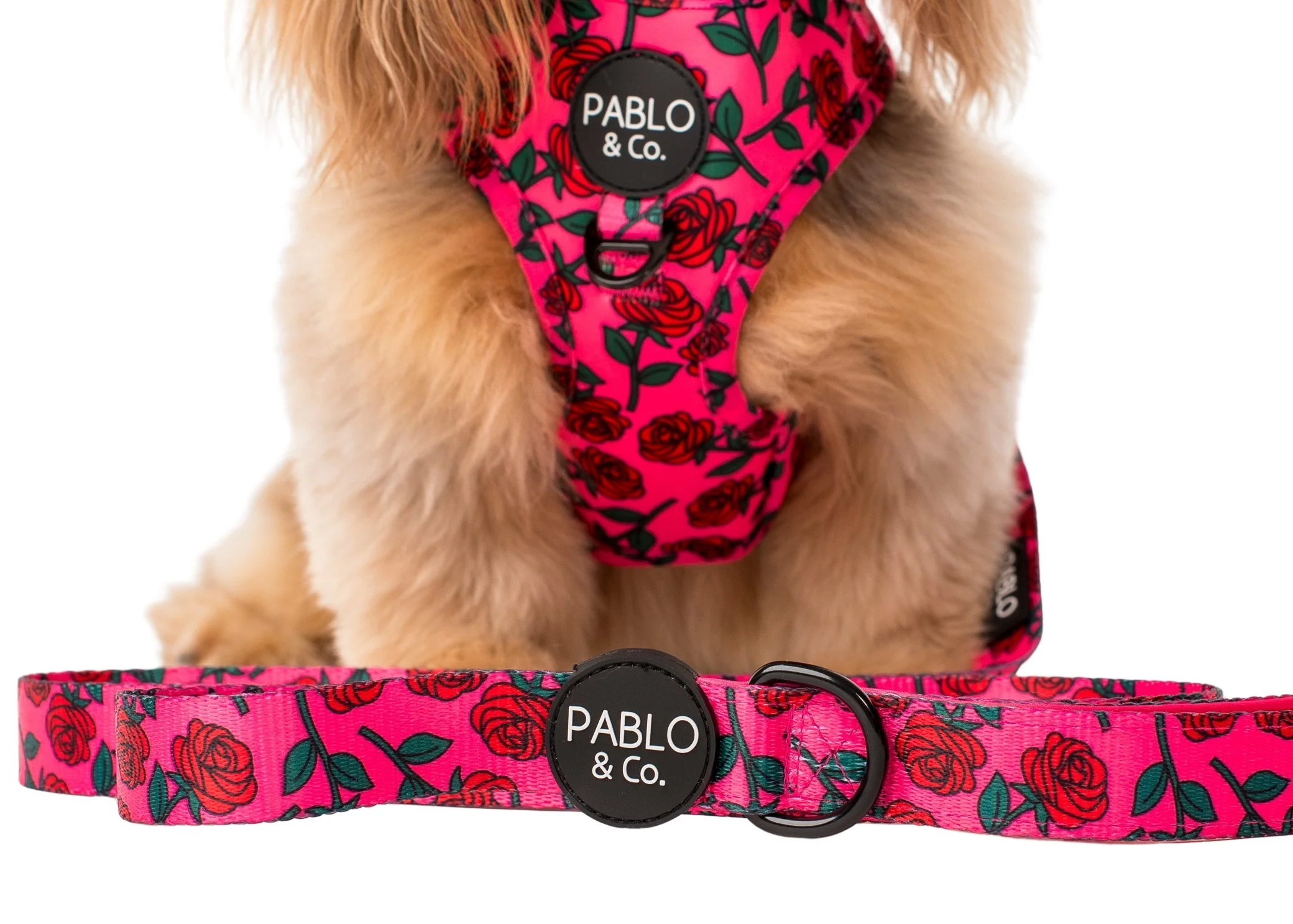 Rosie: Dog Leash - Image 3
