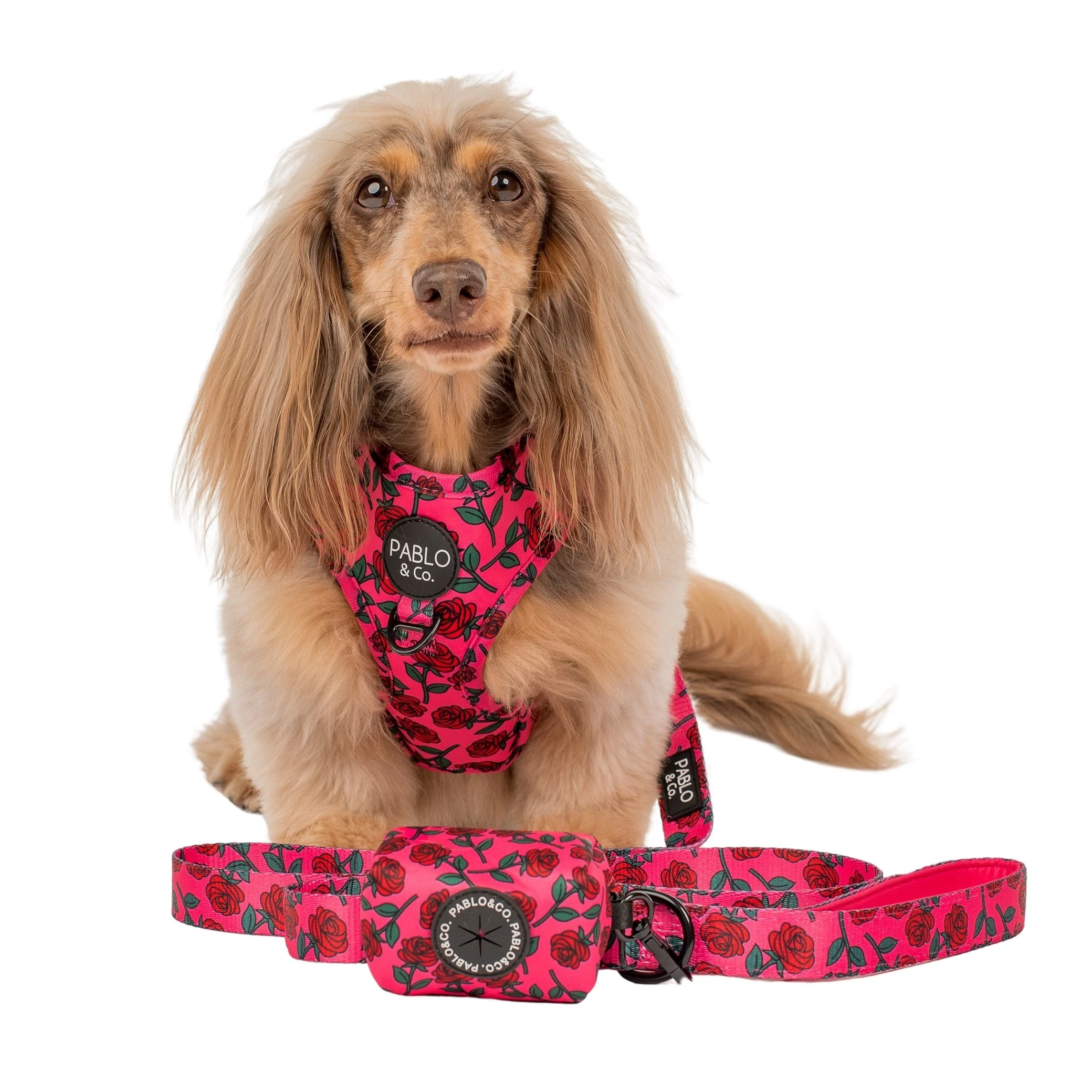 Rosie - Poop Bag Holder - Image 4