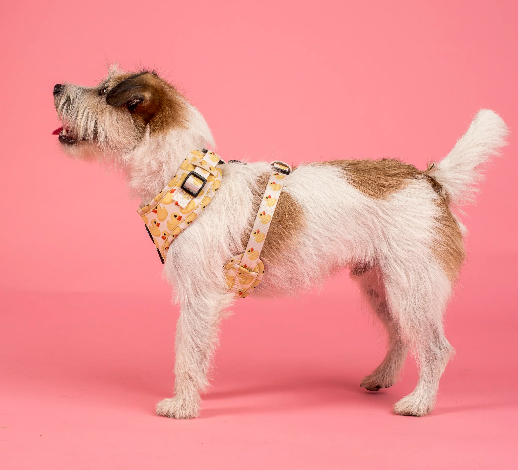 Rubber Ducky: Adjustable Harness - Image 2