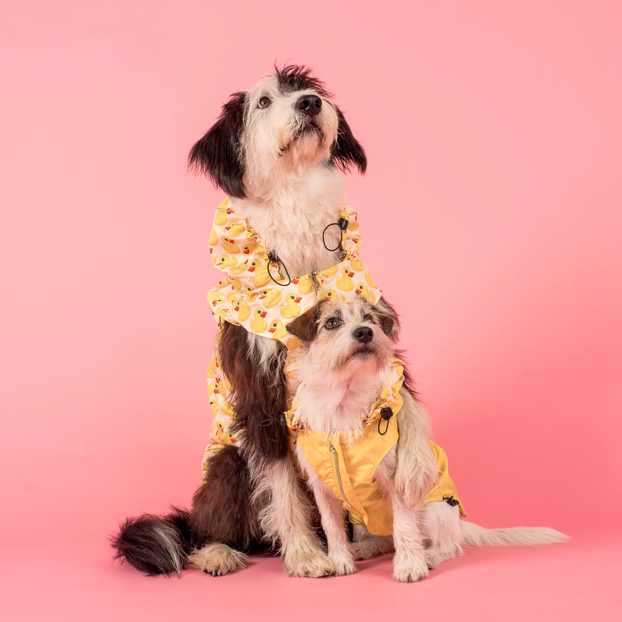 Rubber Ducky: Raincoat - Image 2
