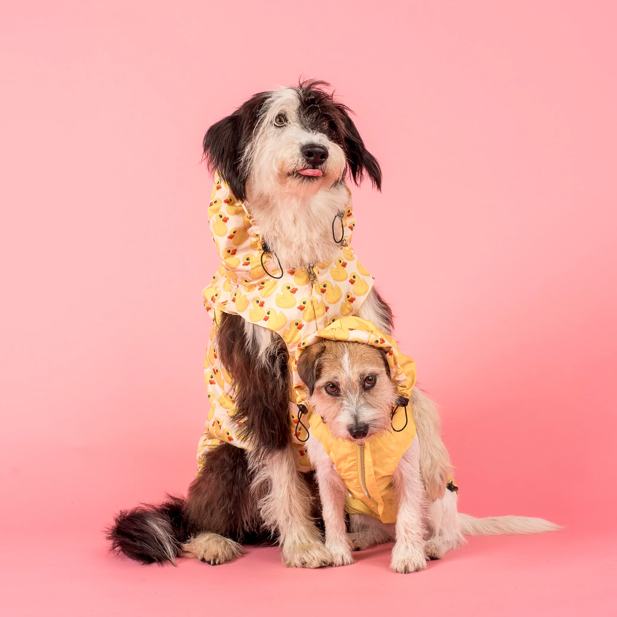 Rubber Ducky: Raincoat - Image 3