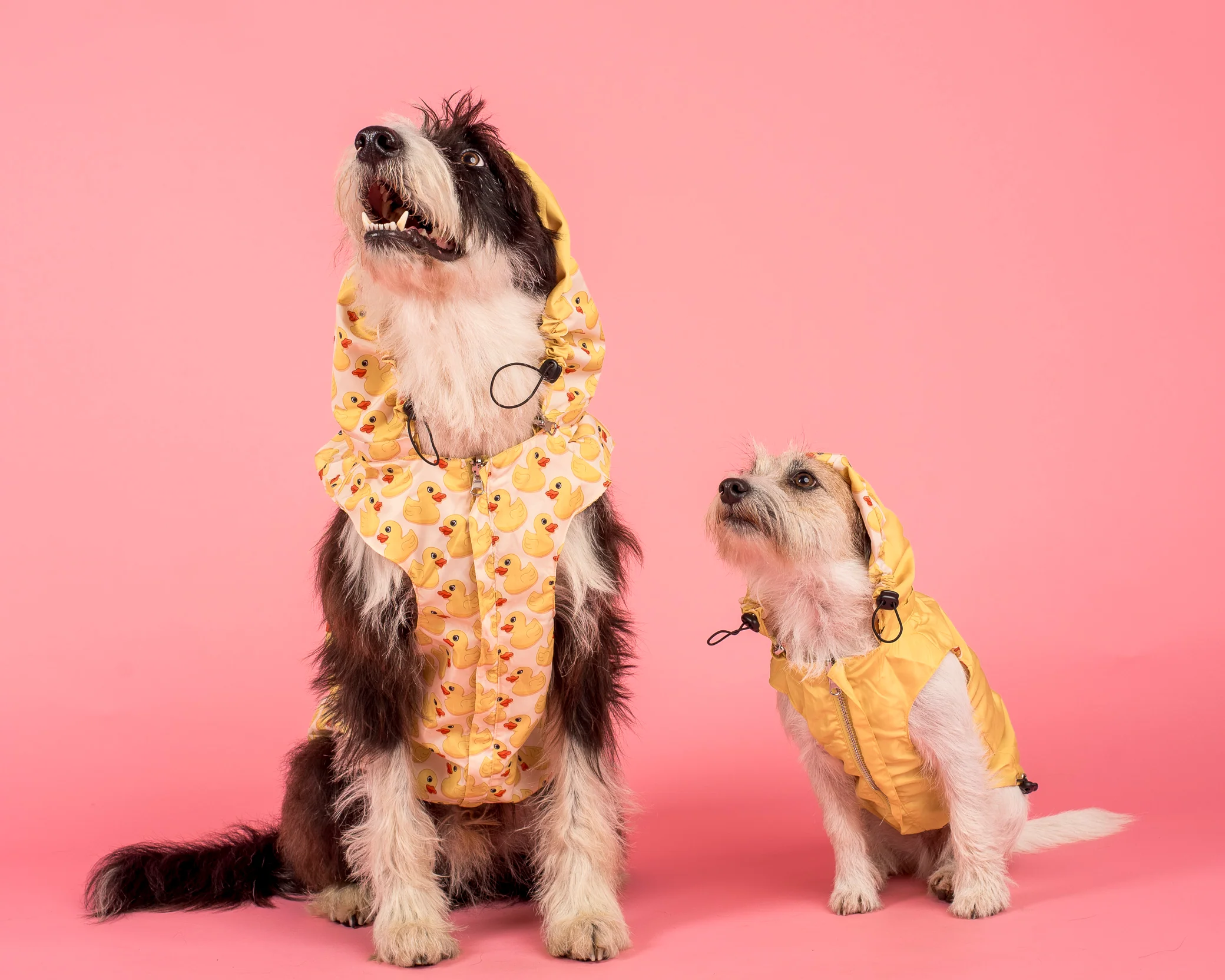 Rubber Ducky: Raincoat - Image 4