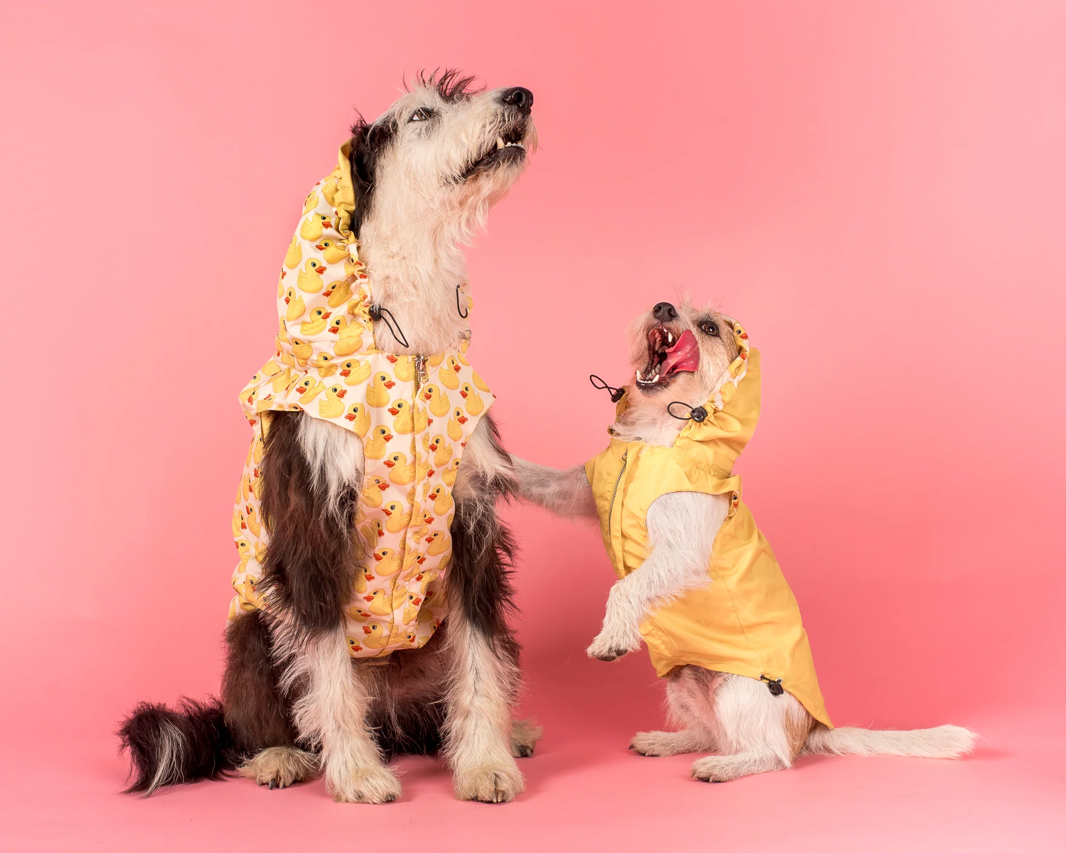 Rubber Ducky: Raincoat - Image 5