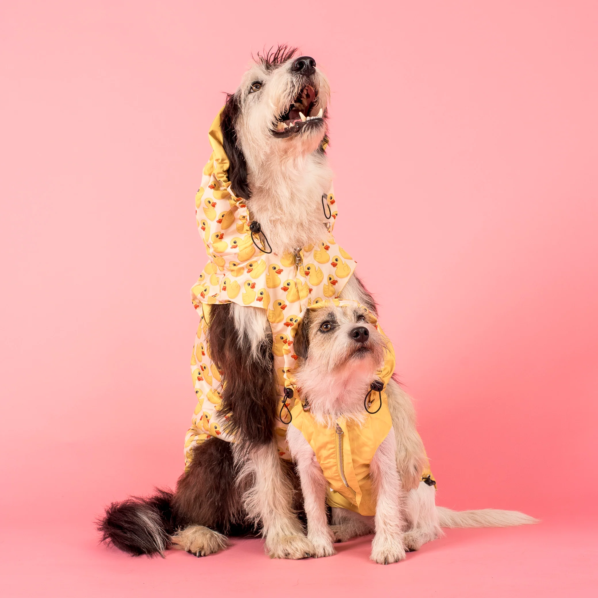 Rubber Ducky: Raincoat - Image 6