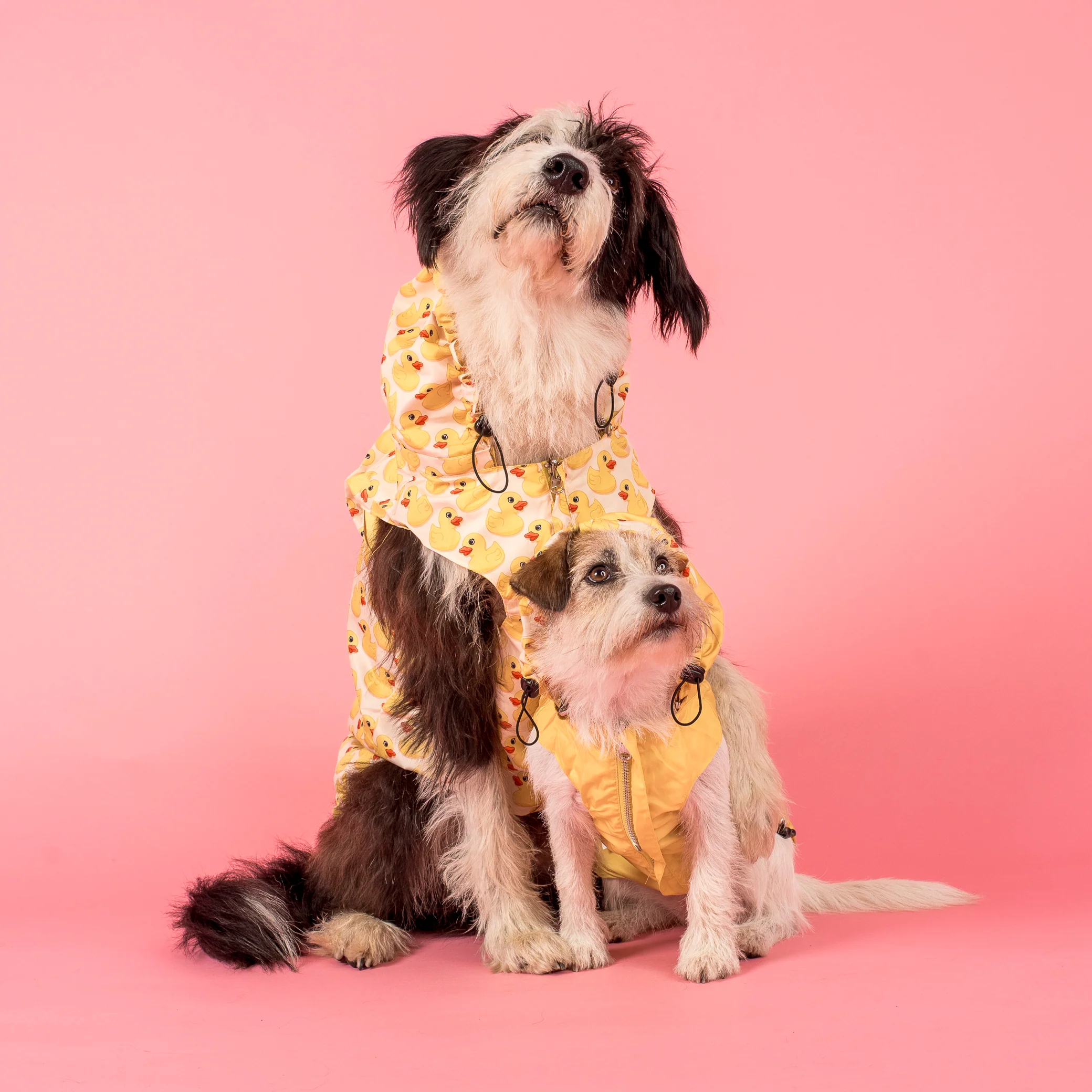 Rubber Ducky: Raincoat - Image 7