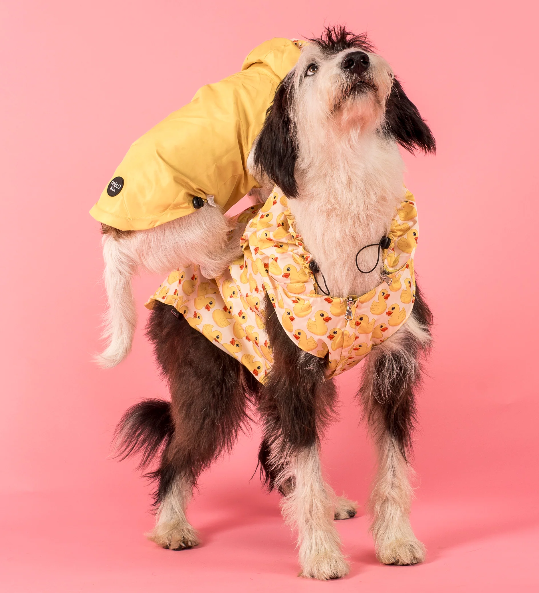 Rubber Ducky: Raincoat - Image 8