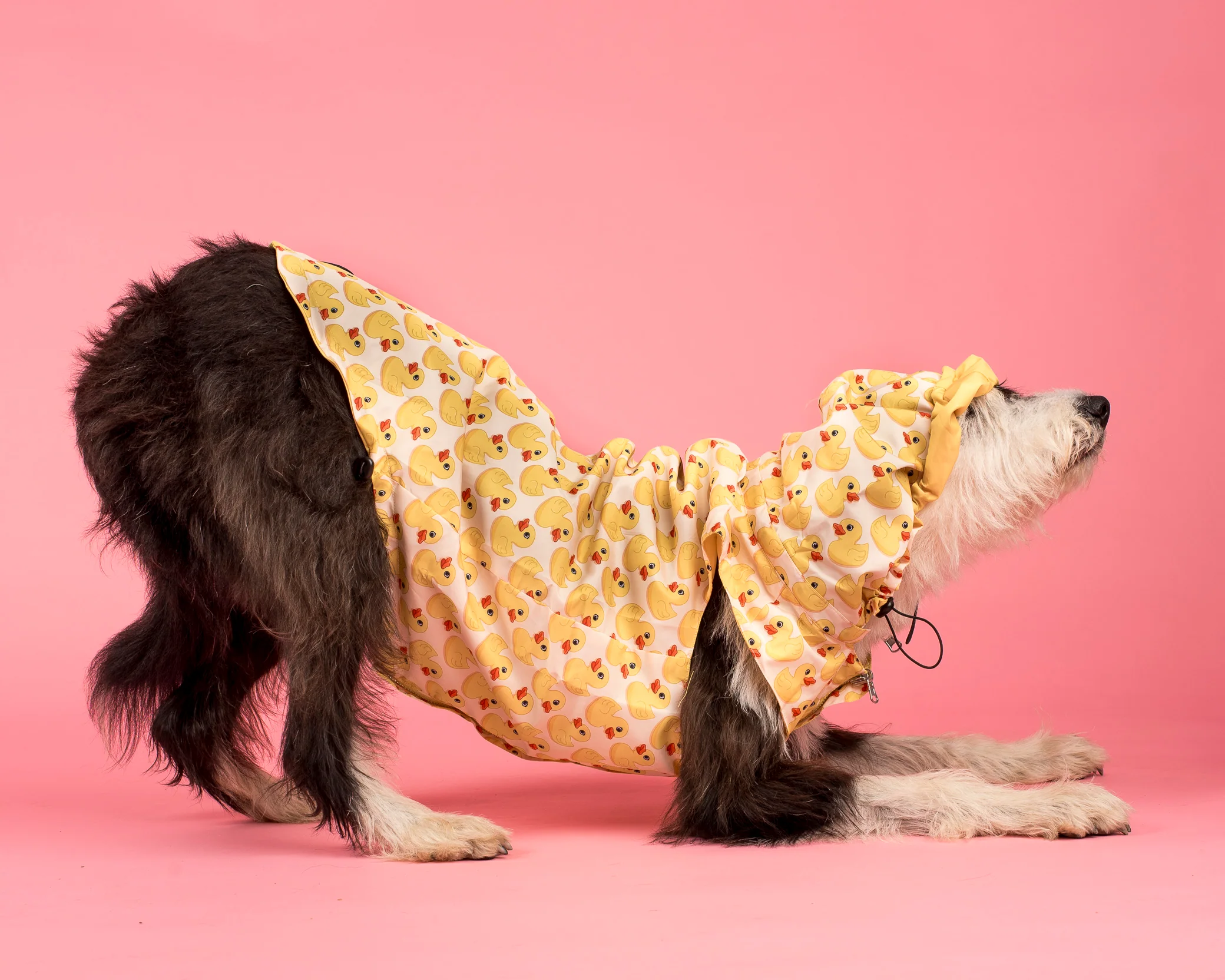 Rubber Ducky: Raincoat - Image 9