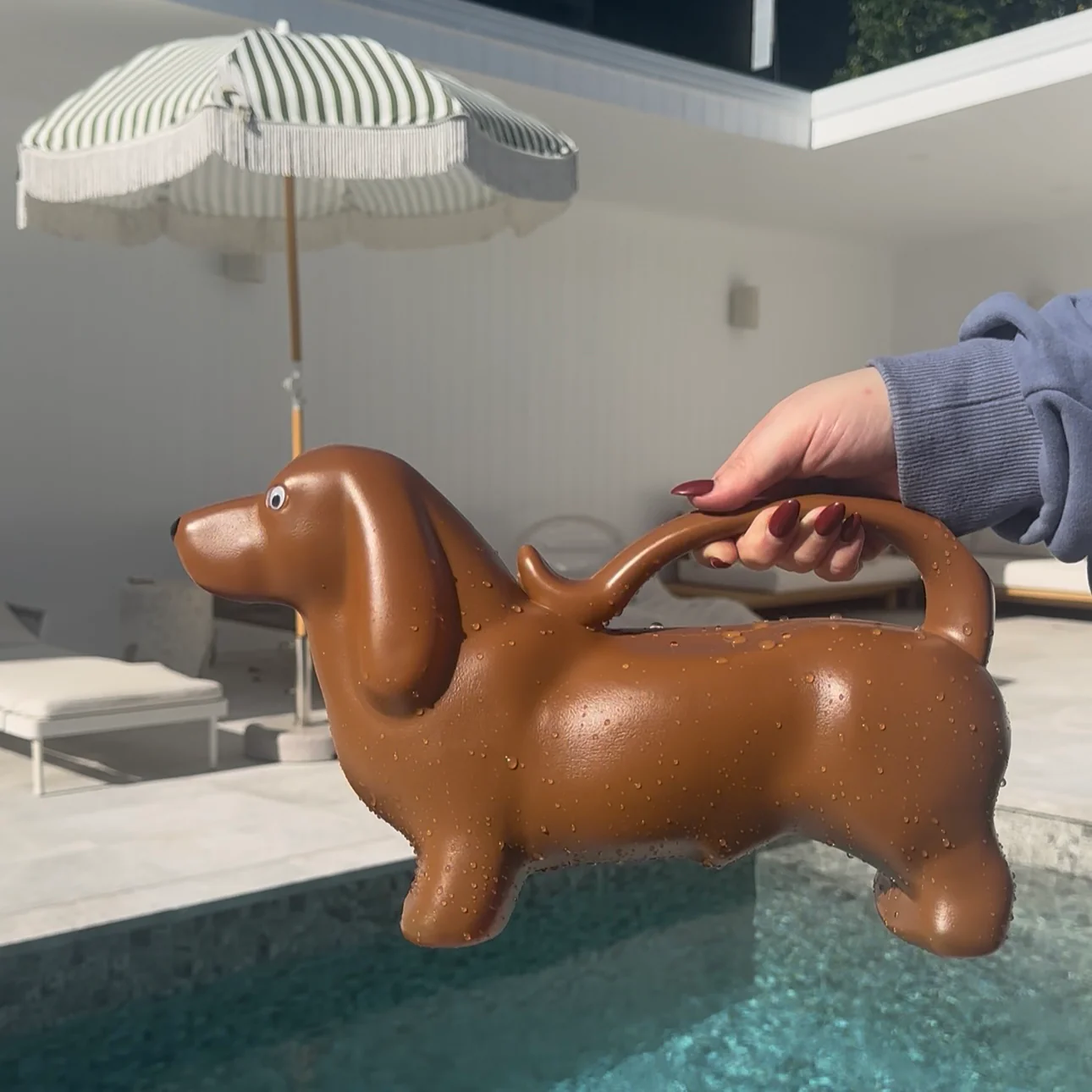Sausage Dog Watering Can