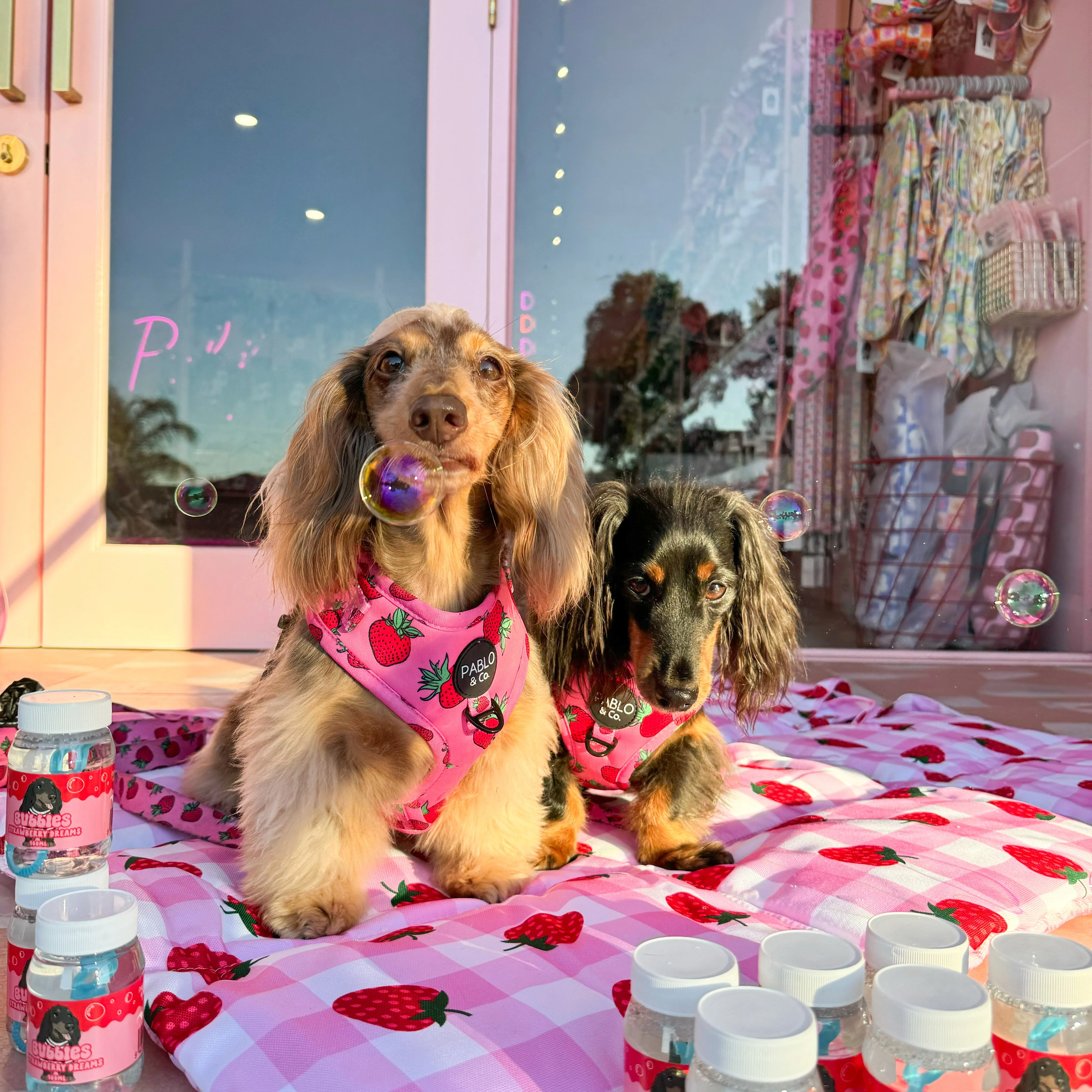 Scoop Dog x Pablo & Co. Strawberry Dreams Bubbles - Image 3