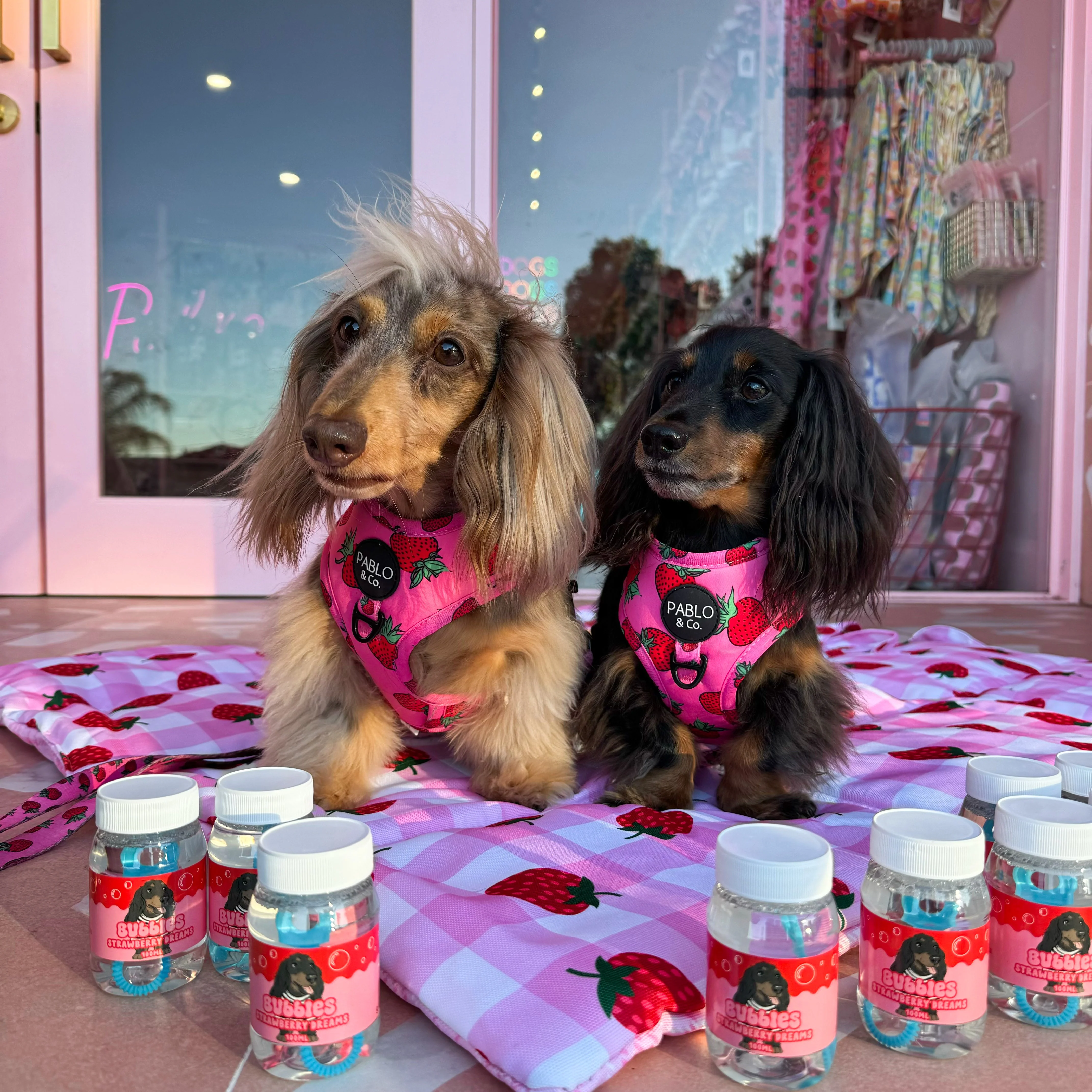 Scoop Dog x Pablo & Co. Strawberry Dreams Bubbles - Image 5