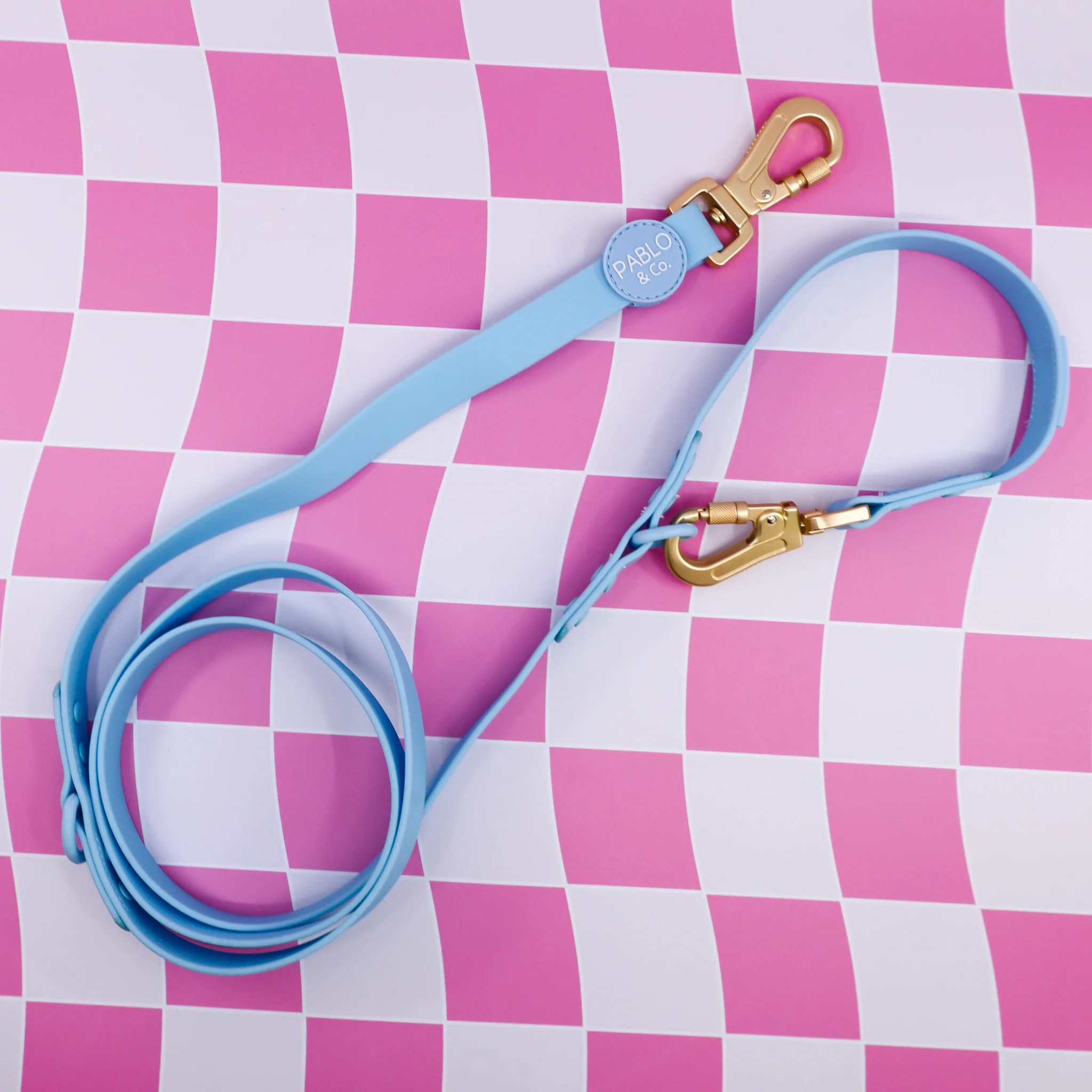 Sea Salt: Multi-Functional Waterproof Leash - Image 2