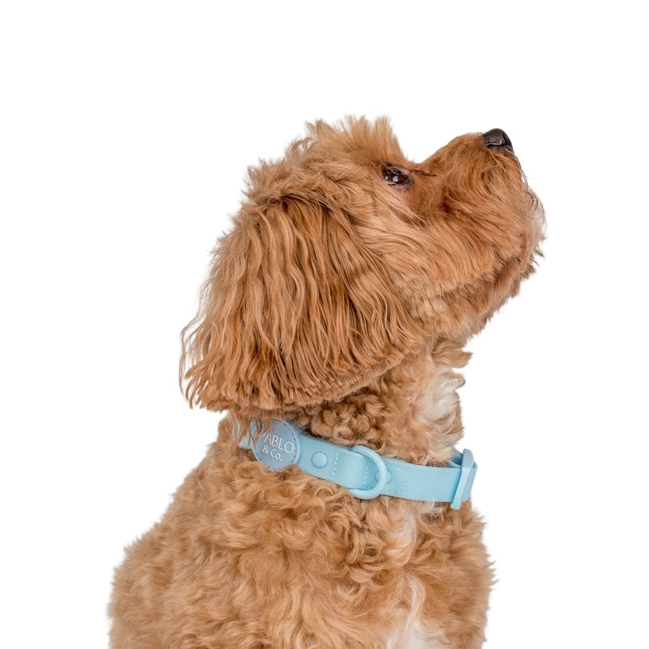 Sea Salt: Waterproof Collar - Image 2