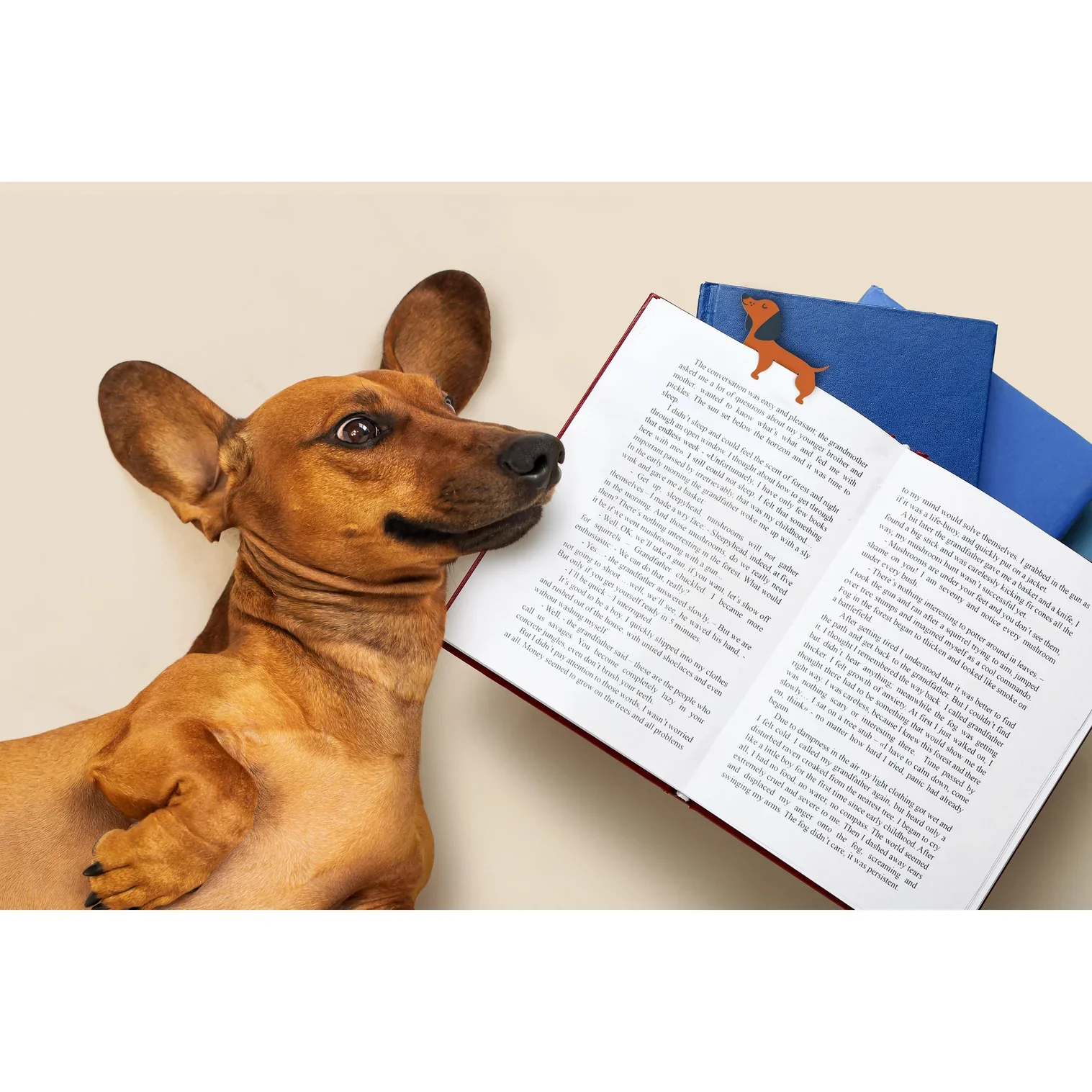 Short Tales Dog Bookmarks - 2pc Set - Image 3