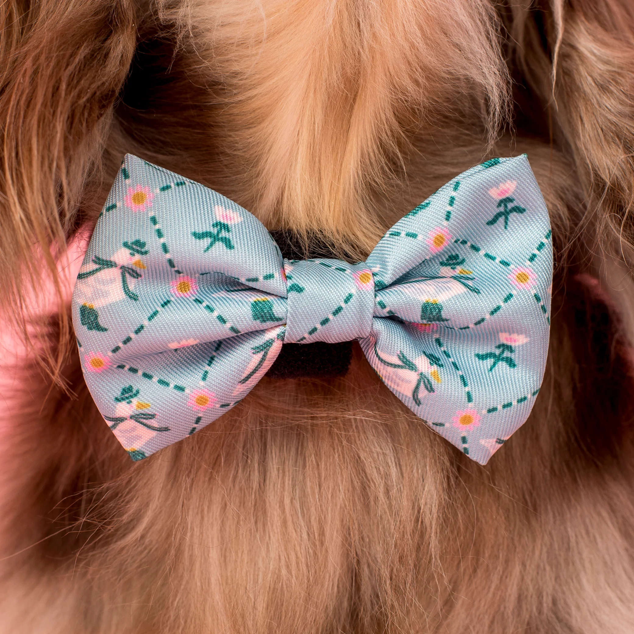 Silly Little Goose: Bow Tie - Image 2