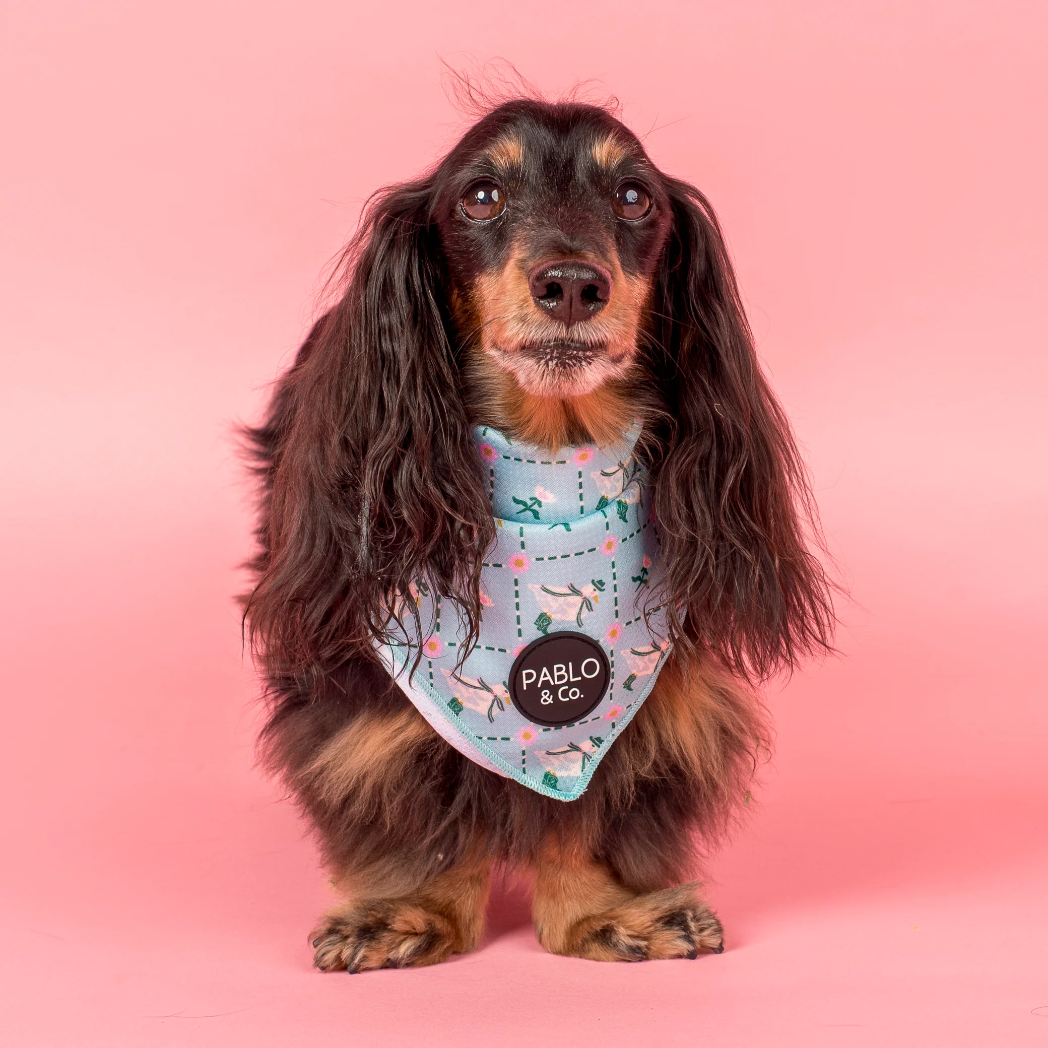 Silly Little Goose: Dog Bandana