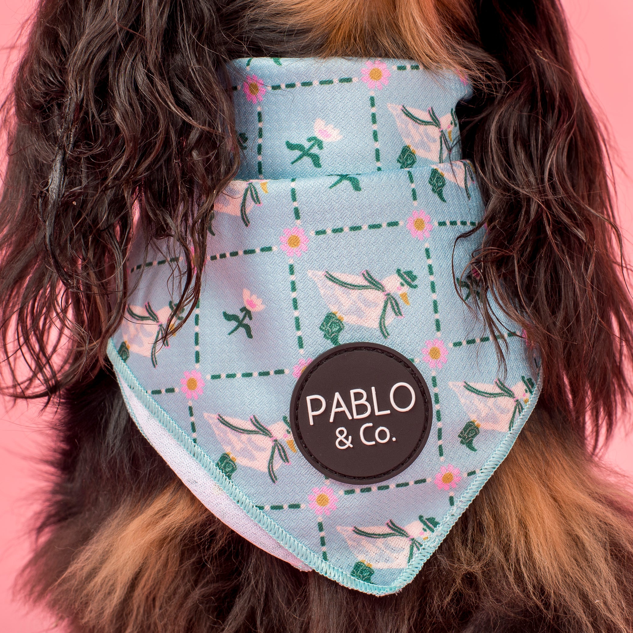 Silly Little Goose: Dog Bandana - Image 2