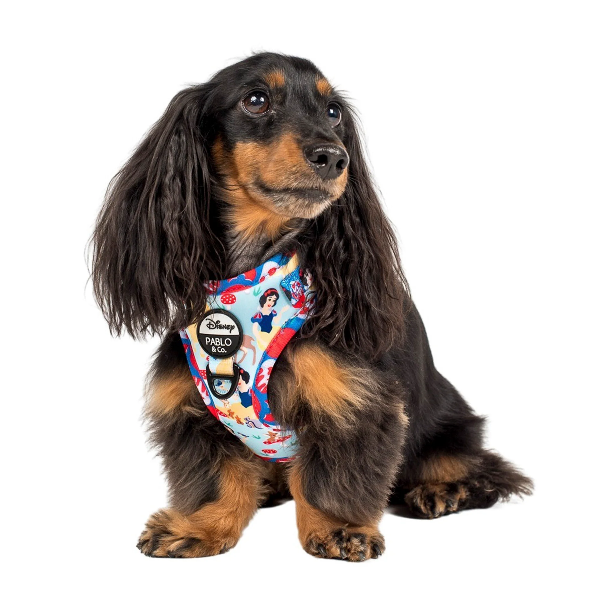 Snow White: Adjustable Harness - Image 2