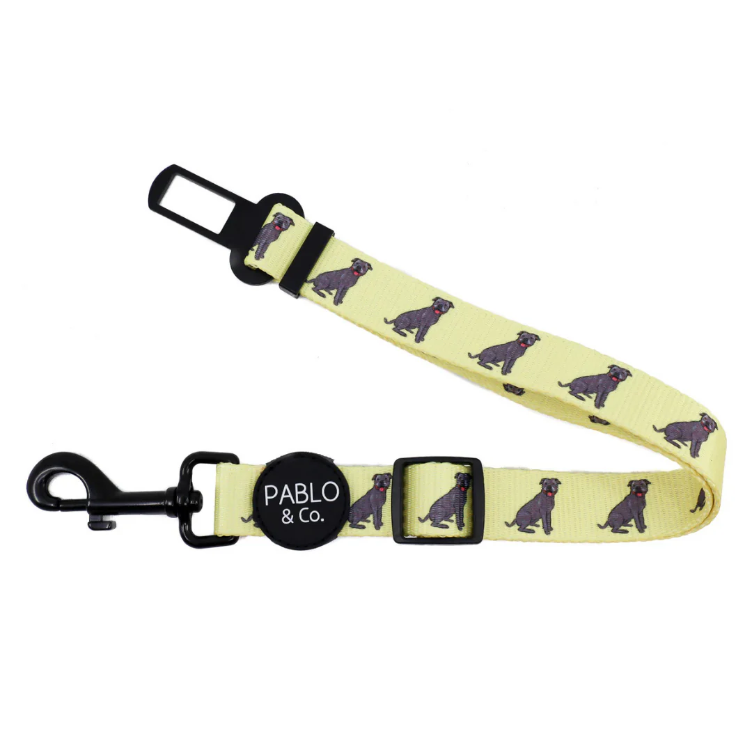 Staffy: Adjustable Car Restraint