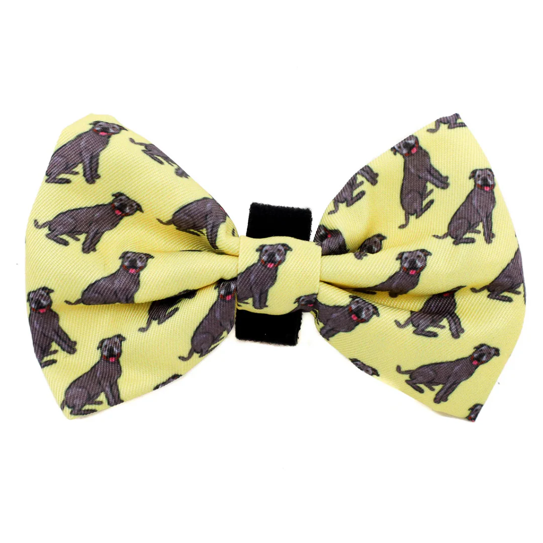 Staffy: Bow Tie