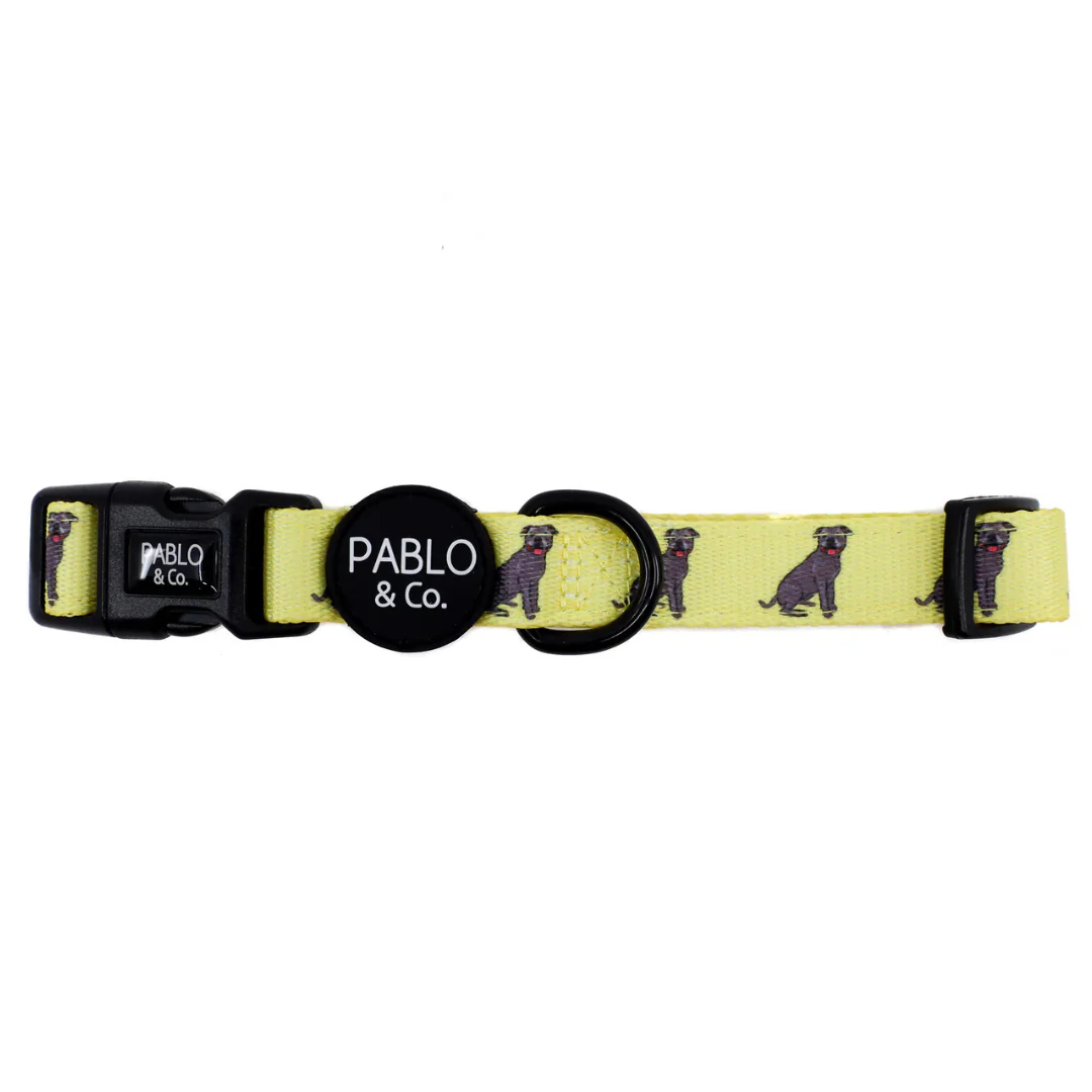Staffy: Collar