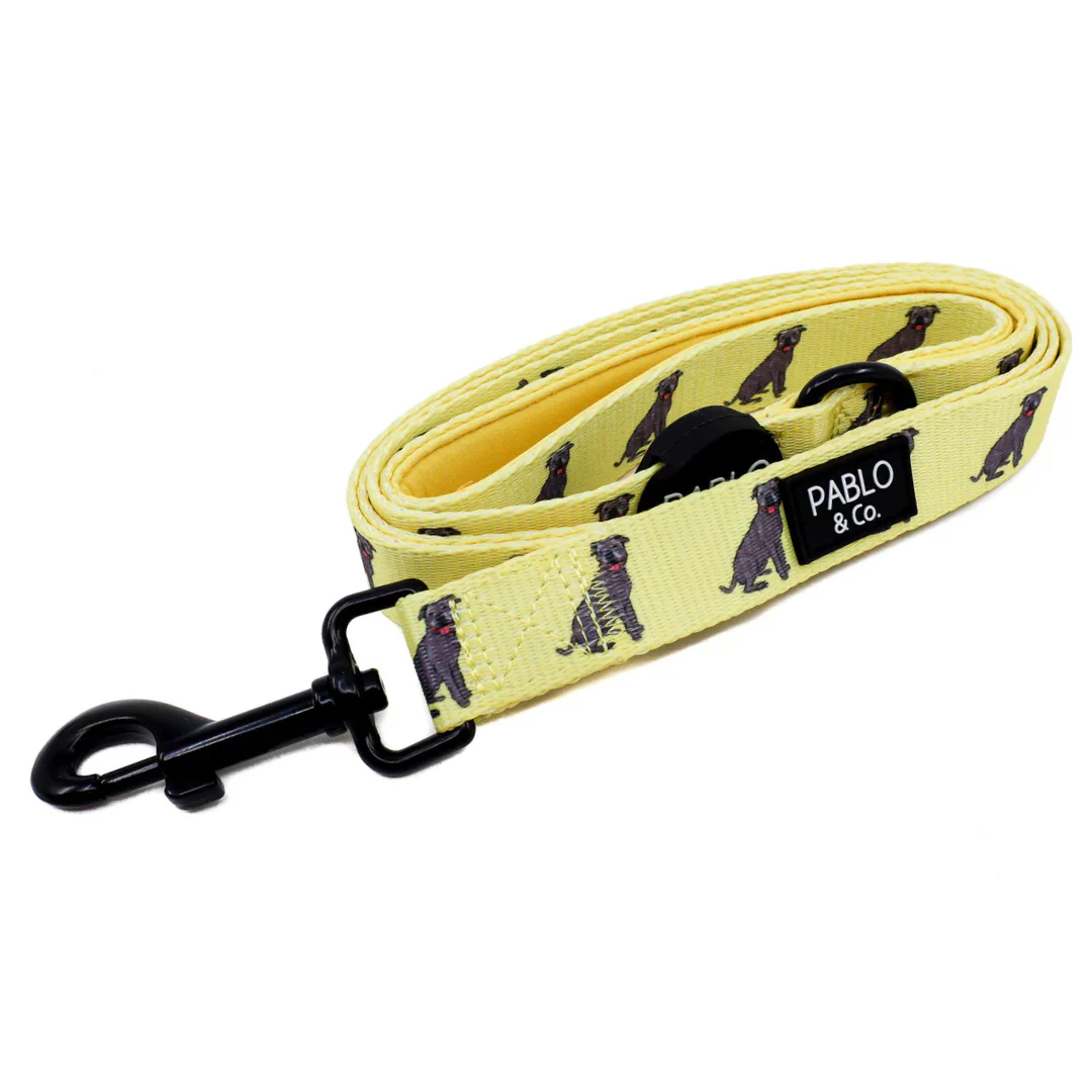 Staffy: Dog Leash