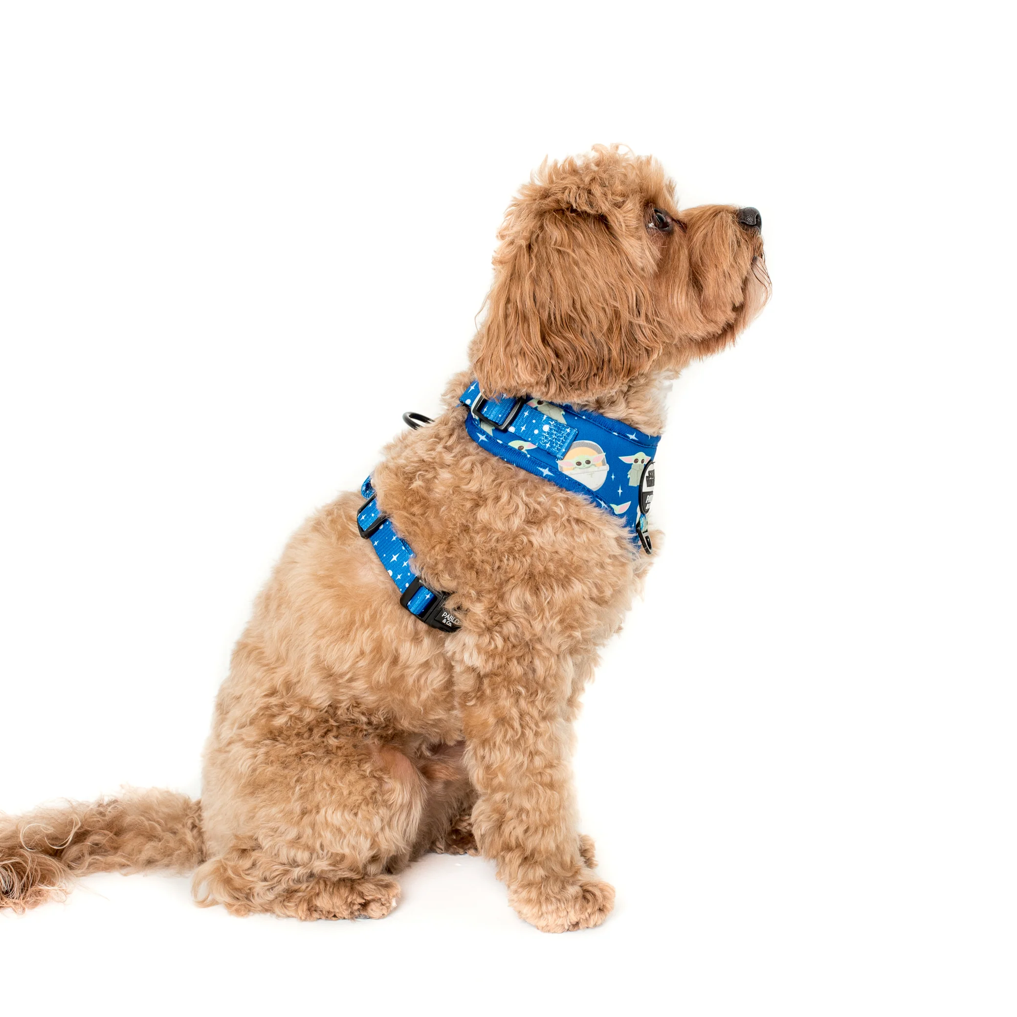 Star Wars Grogu: Adjustable Harness - Image 4