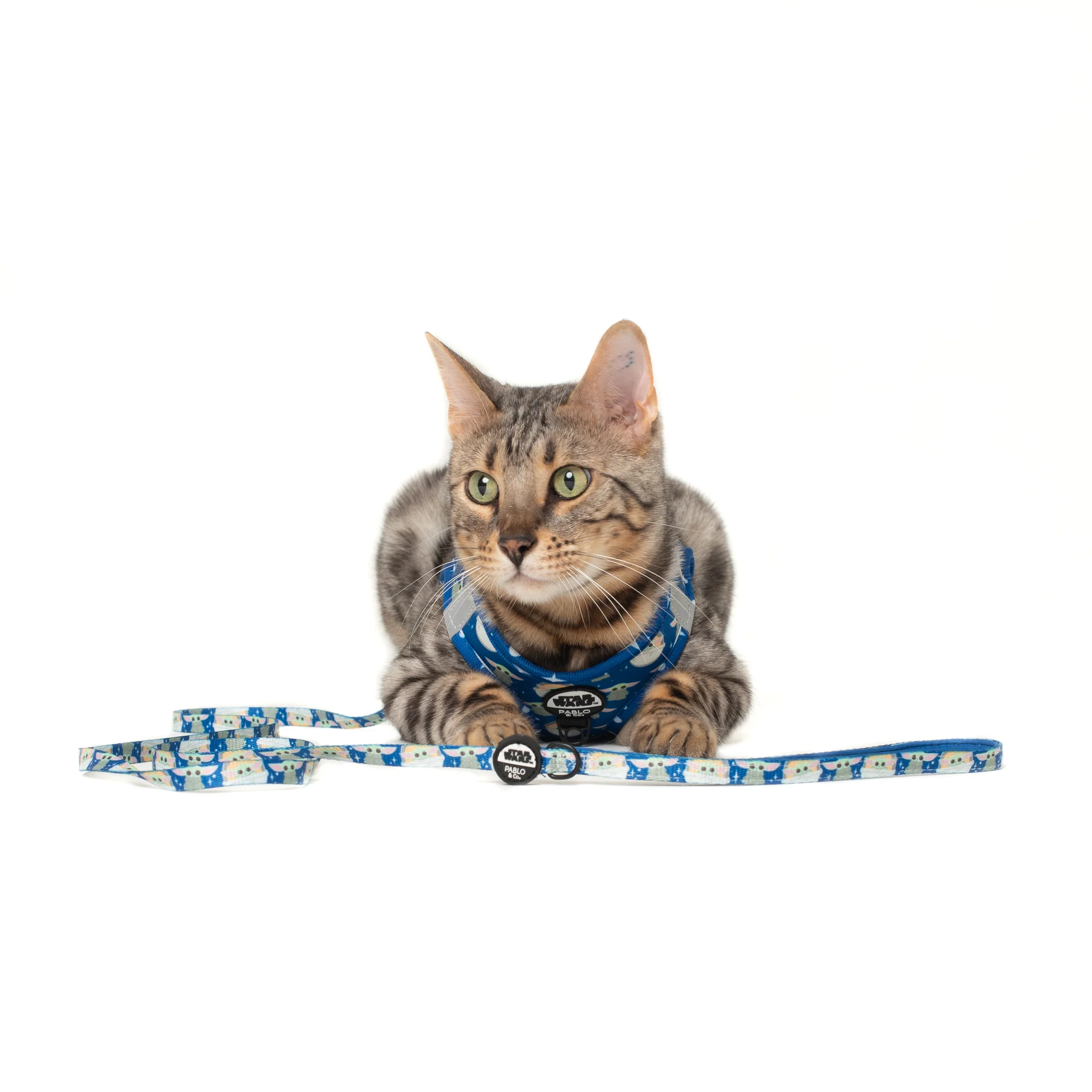Star Wars Grogu: Cat Leash - Image 2