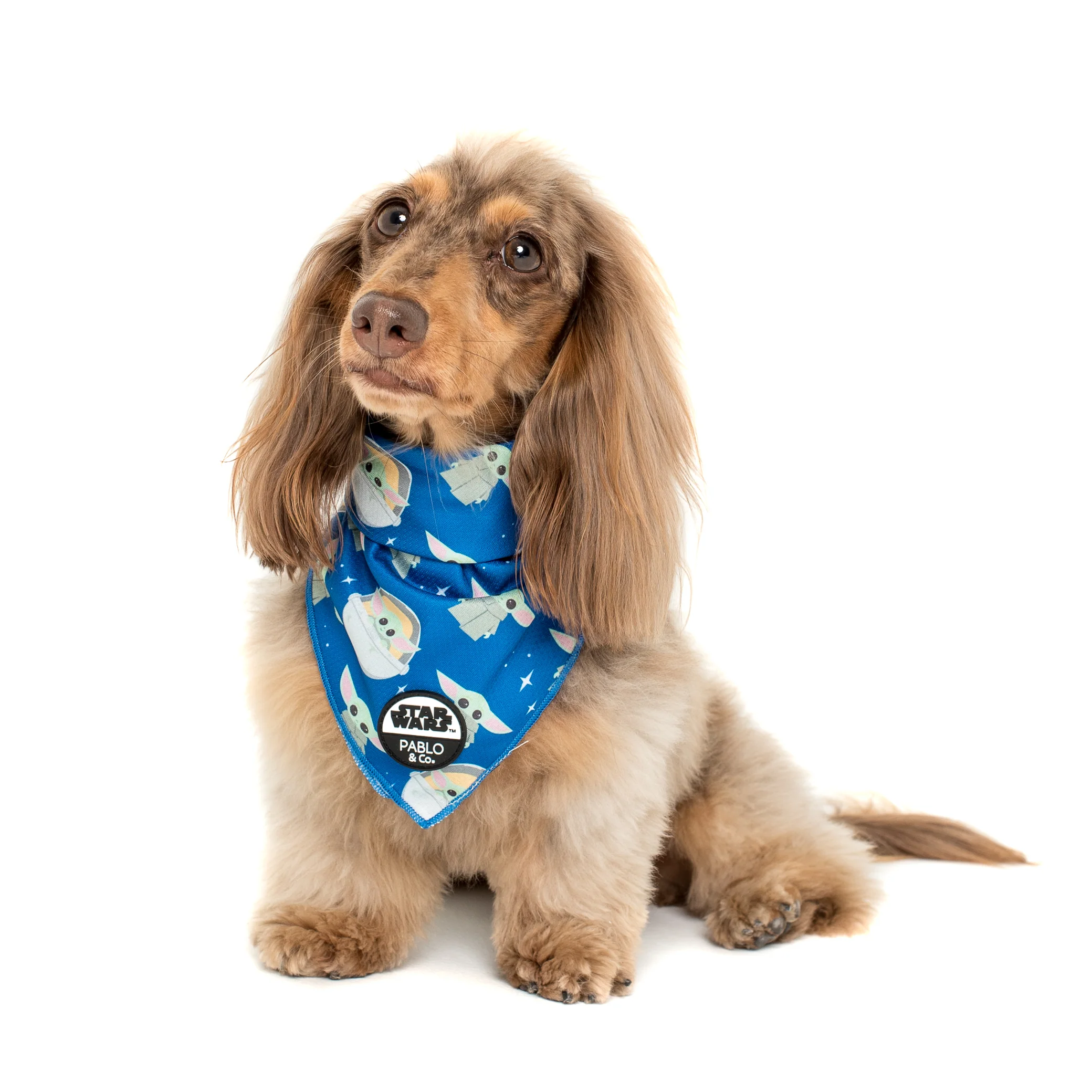 Star Wars Grogu: Dog Bandana