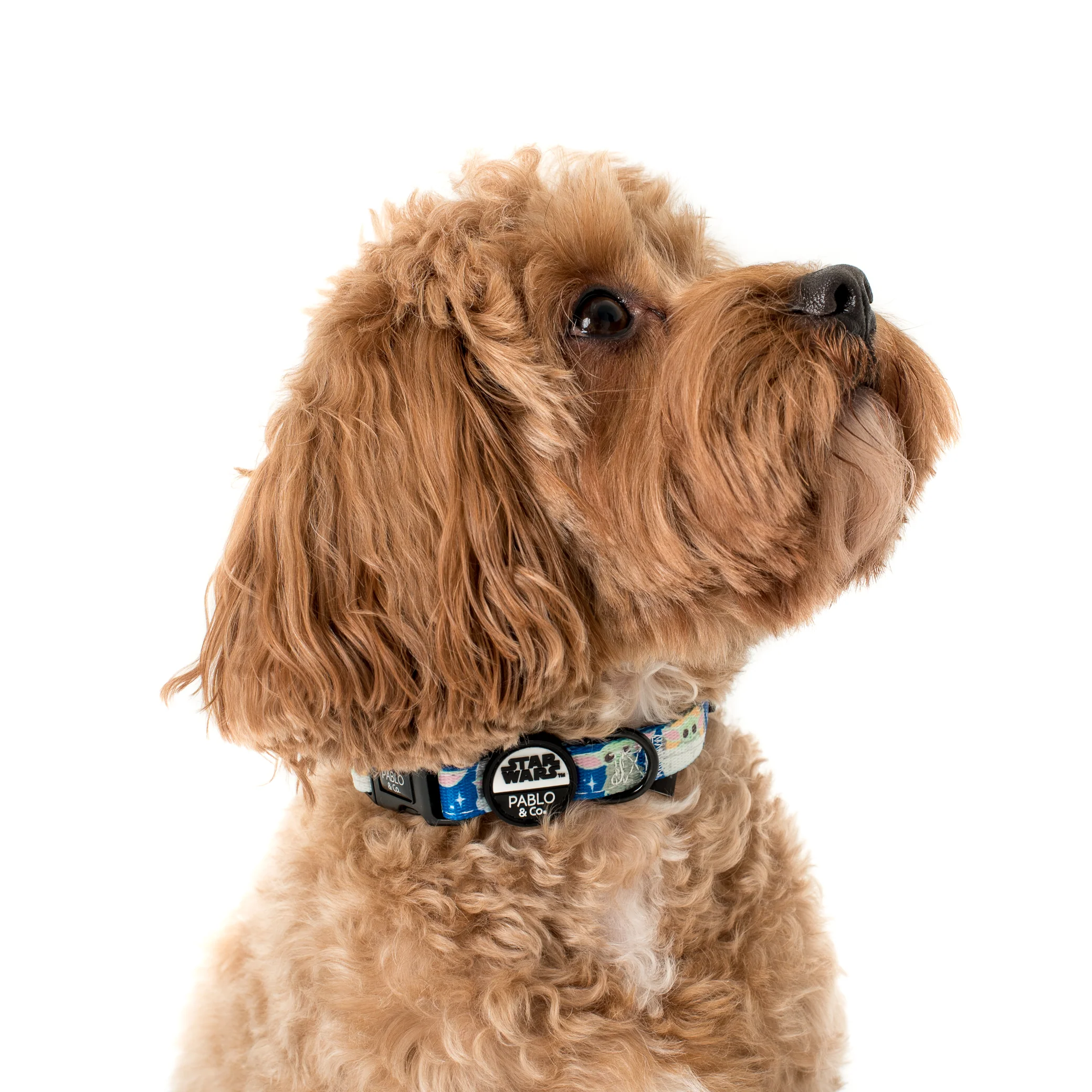 Star Wars Grogu: Dog Collar - Image 2