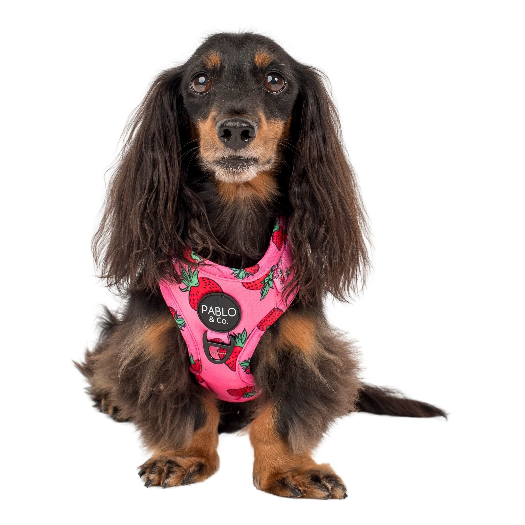 Strawberries: Adjustable Harness - Image 7