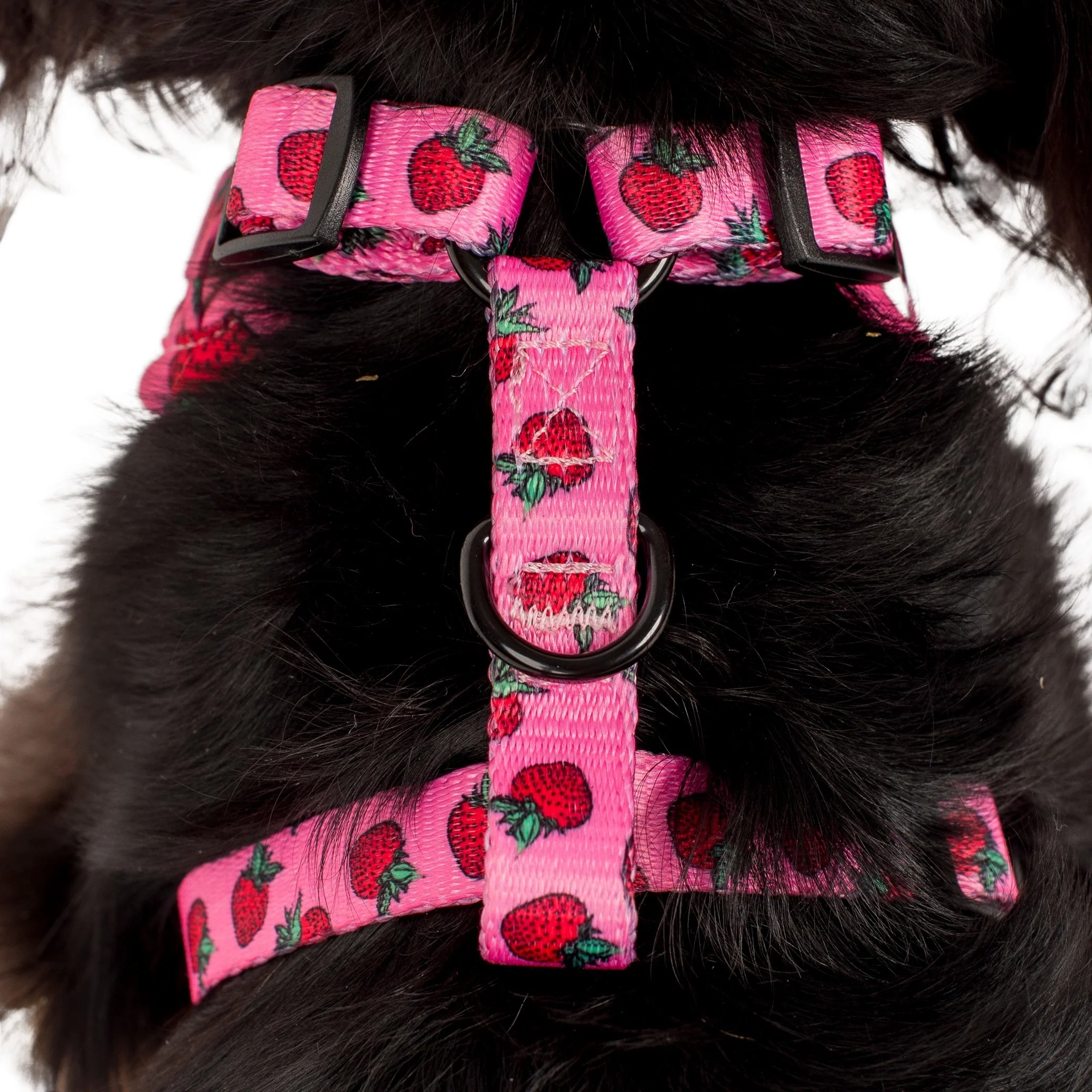 Strawberries: Adjustable Harness - Image 9