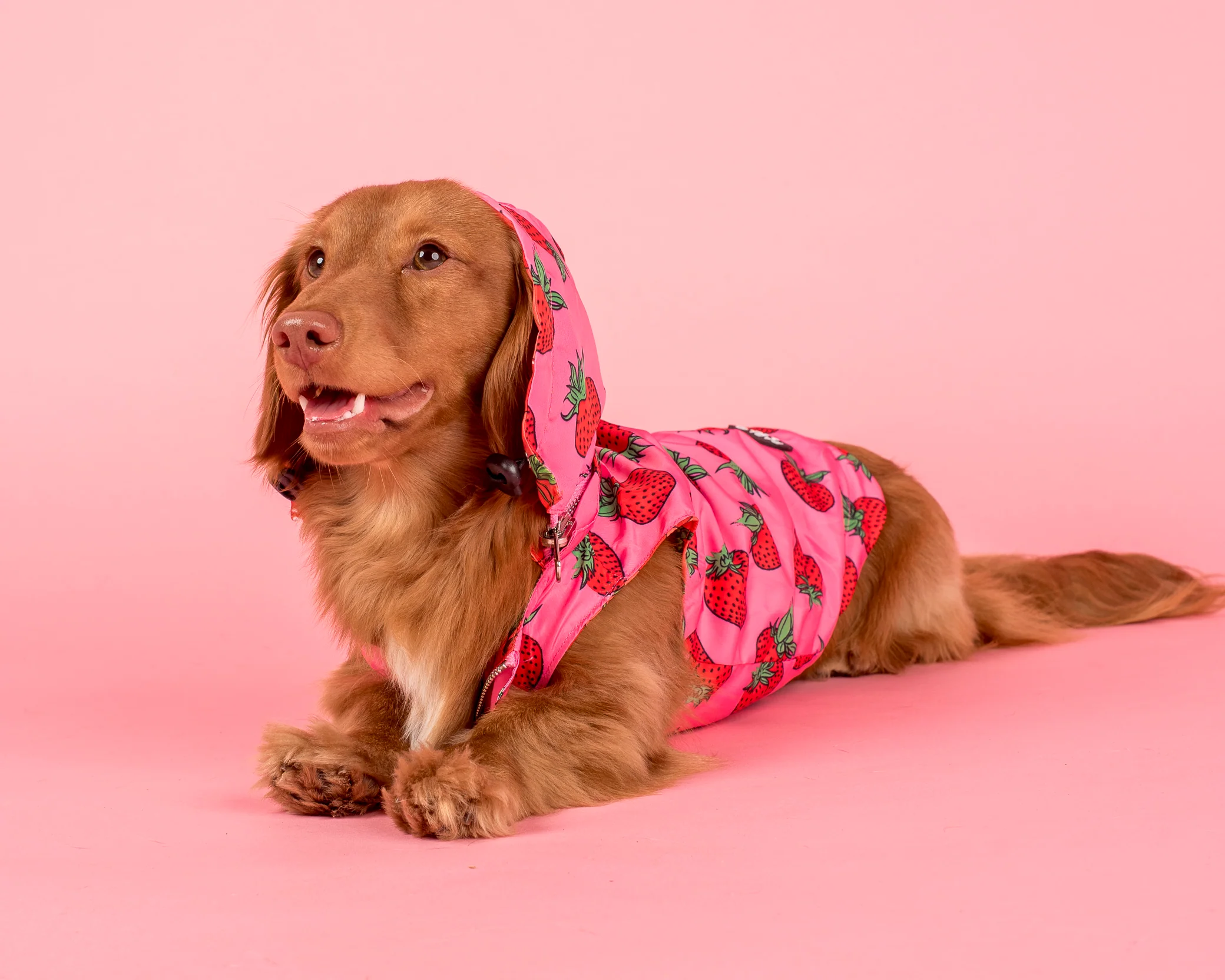 Strawberries / Cherry: Raincoat - Image 10