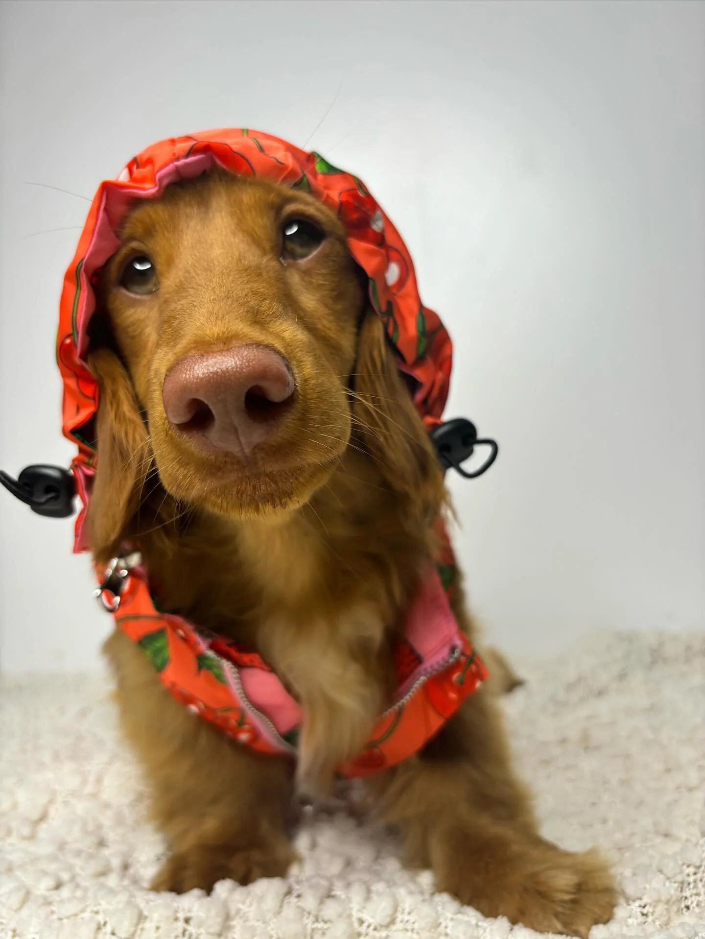 Strawberries / Cherry: Raincoat - Image 13
