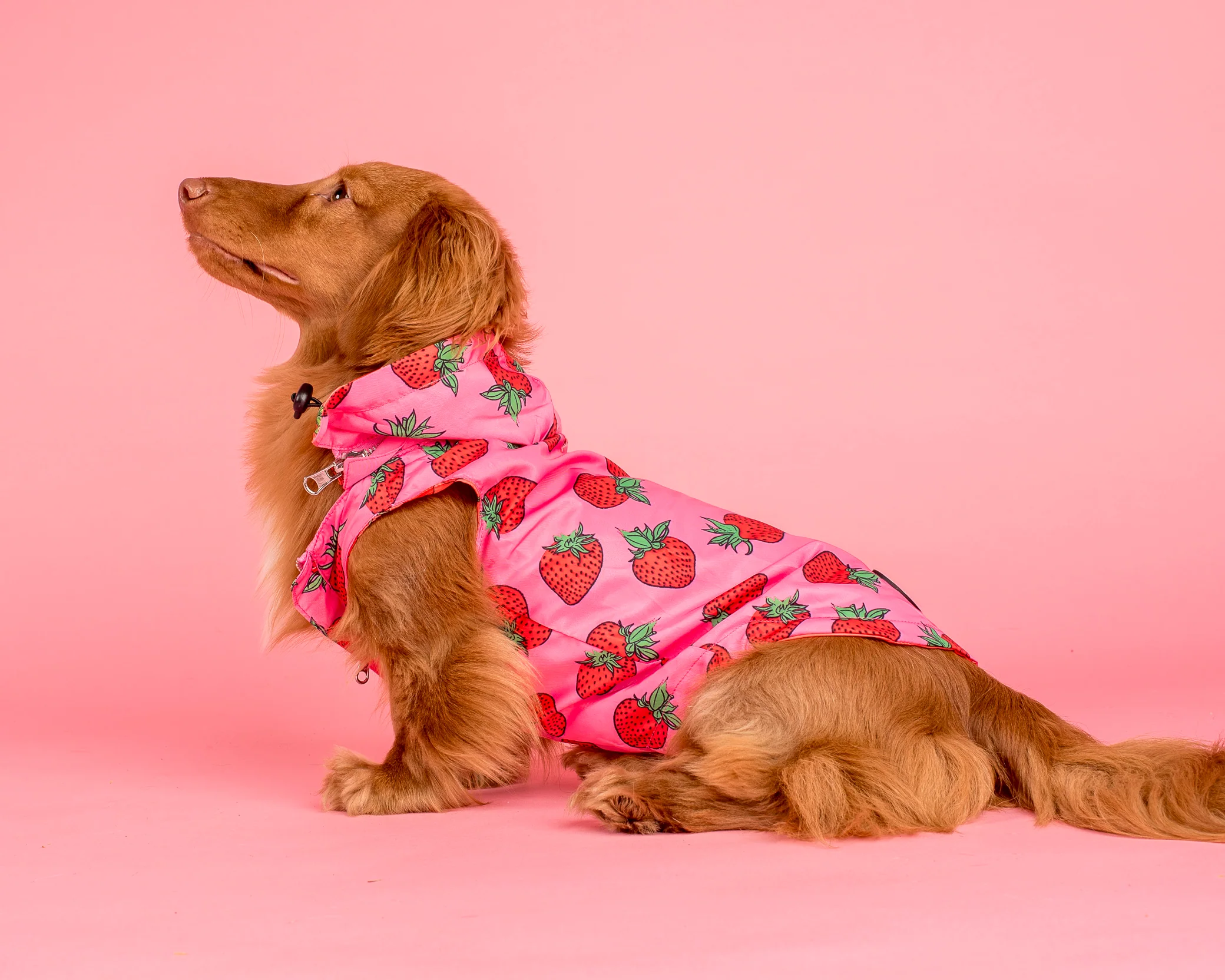 Strawberries / Cherry: Raincoat - Image 3