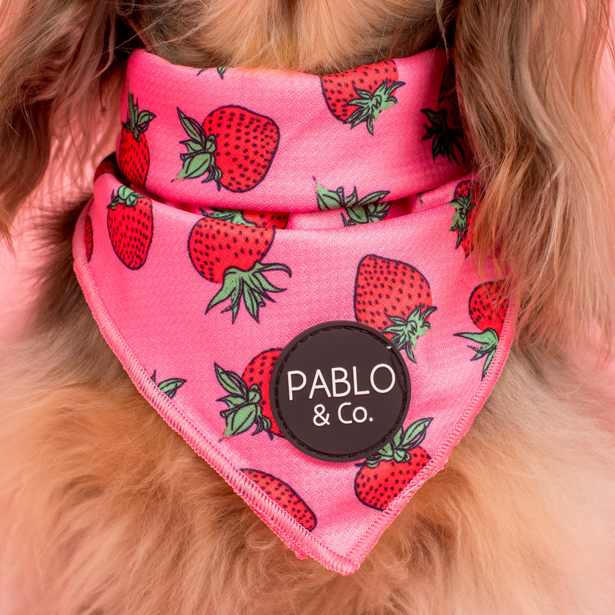 Strawberries: Dog Bandana - Image 2