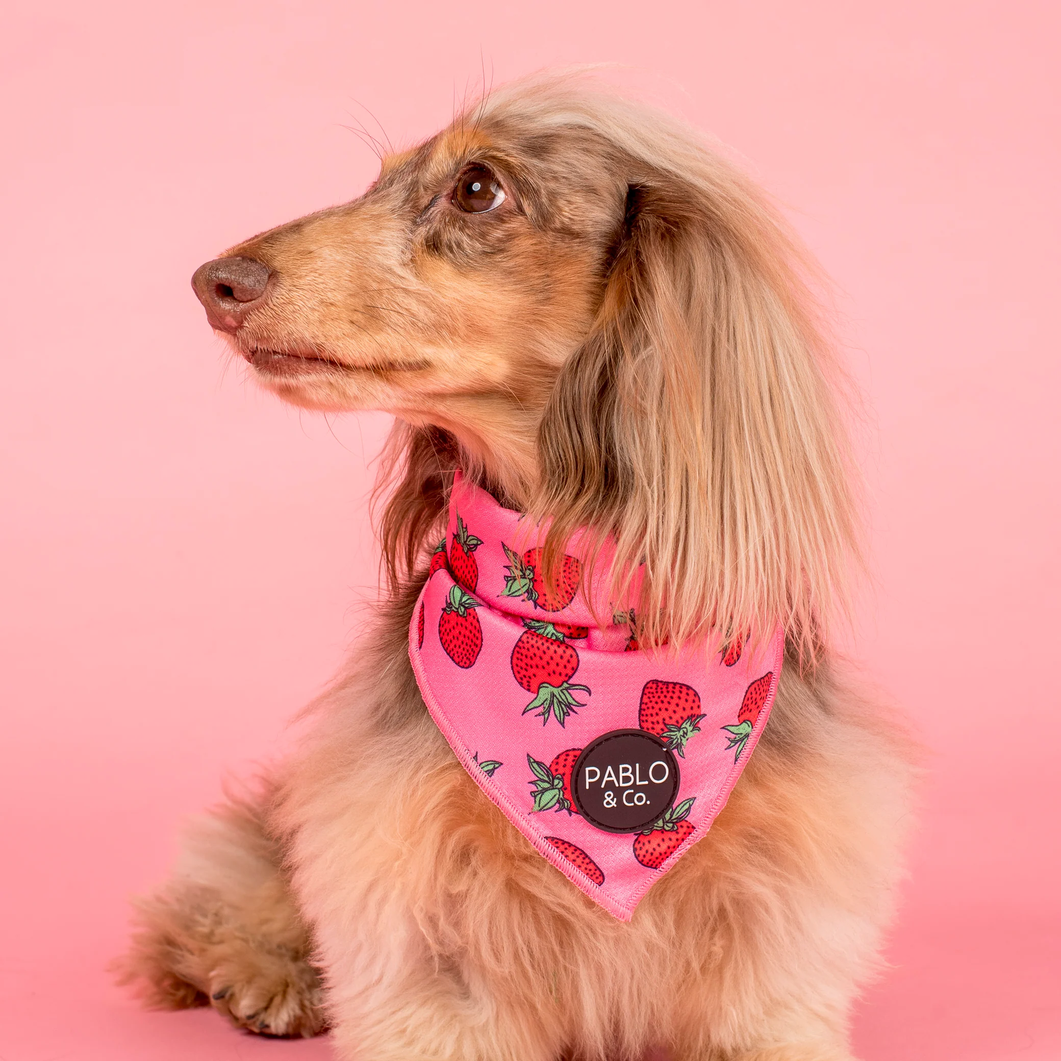 Strawberries: Dog Bandana - Image 3