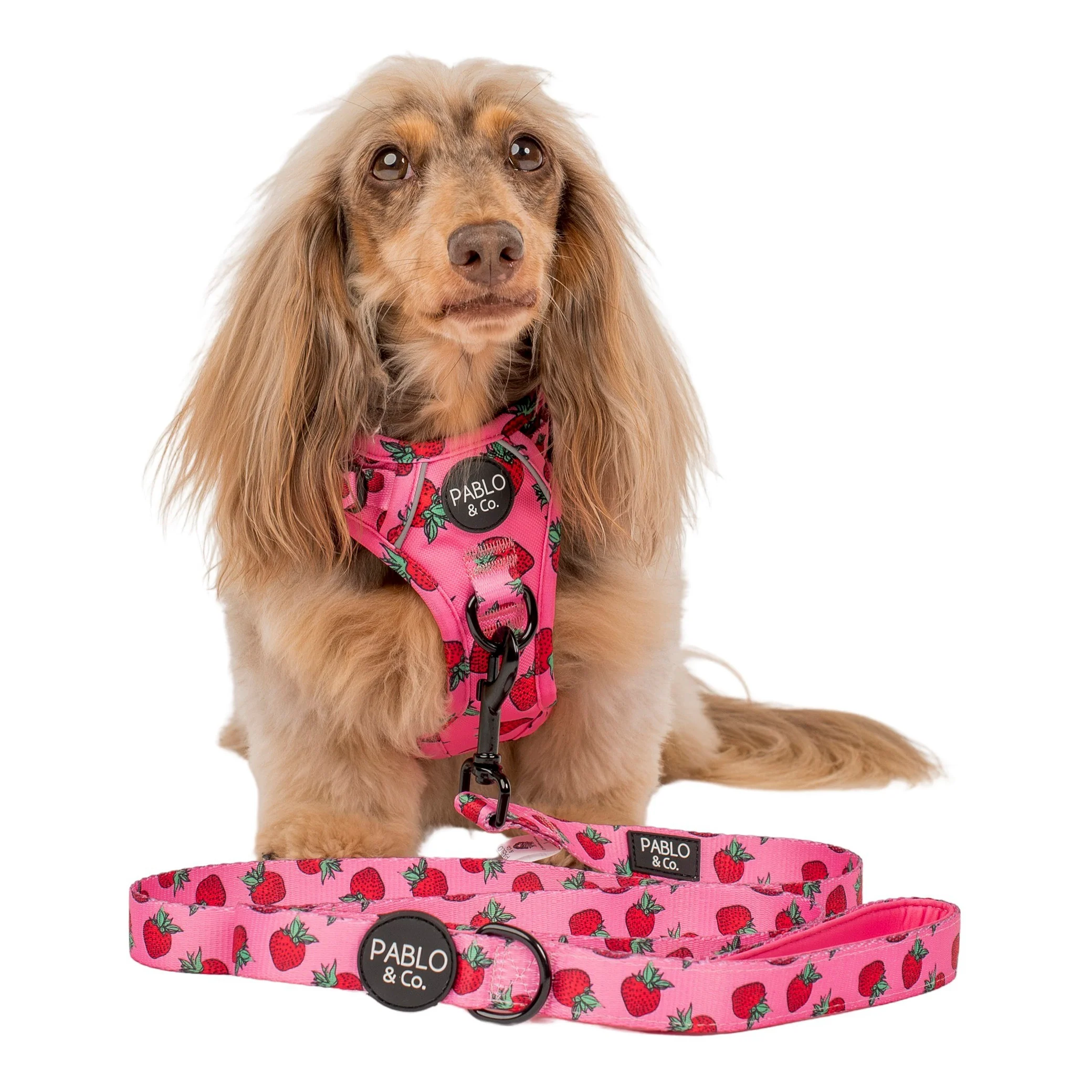 Strawberries: Dog Leash - Image 2