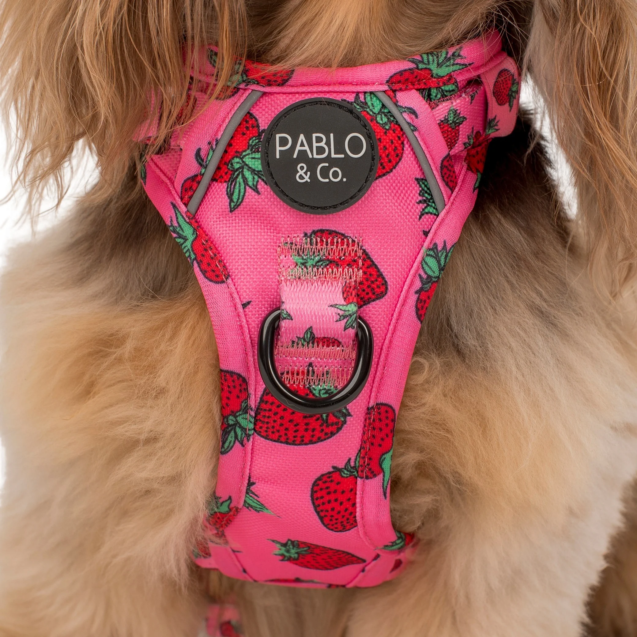 Strawberries: No Pull Adventure Harness - Image 3