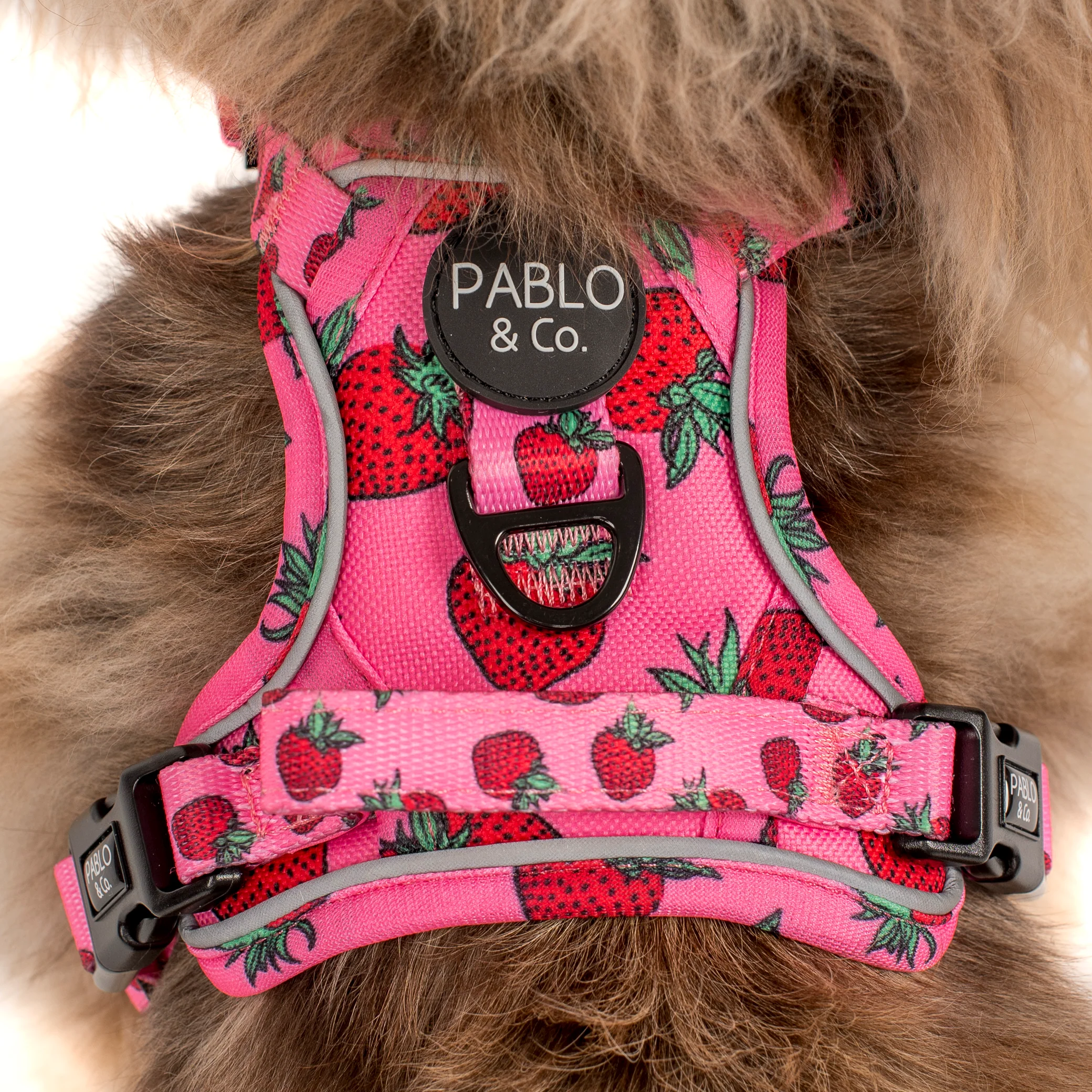 Strawberries: No Pull Adventure Harness - Image 4