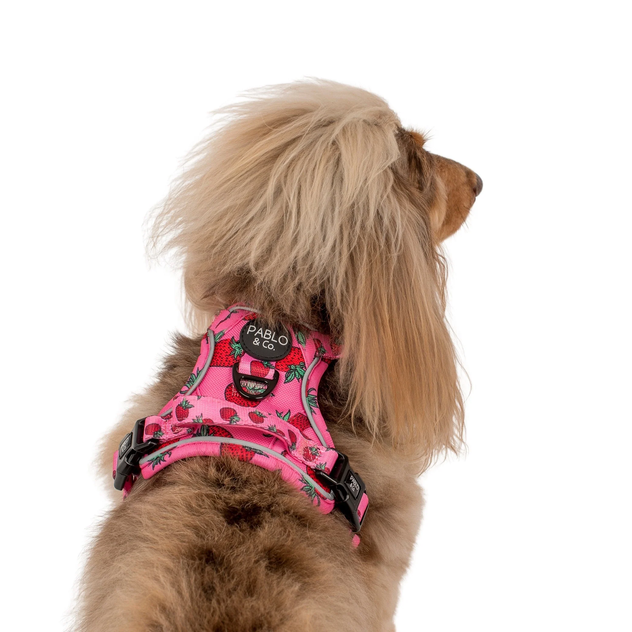 Strawberries: No Pull Adventure Harness - Image 6
