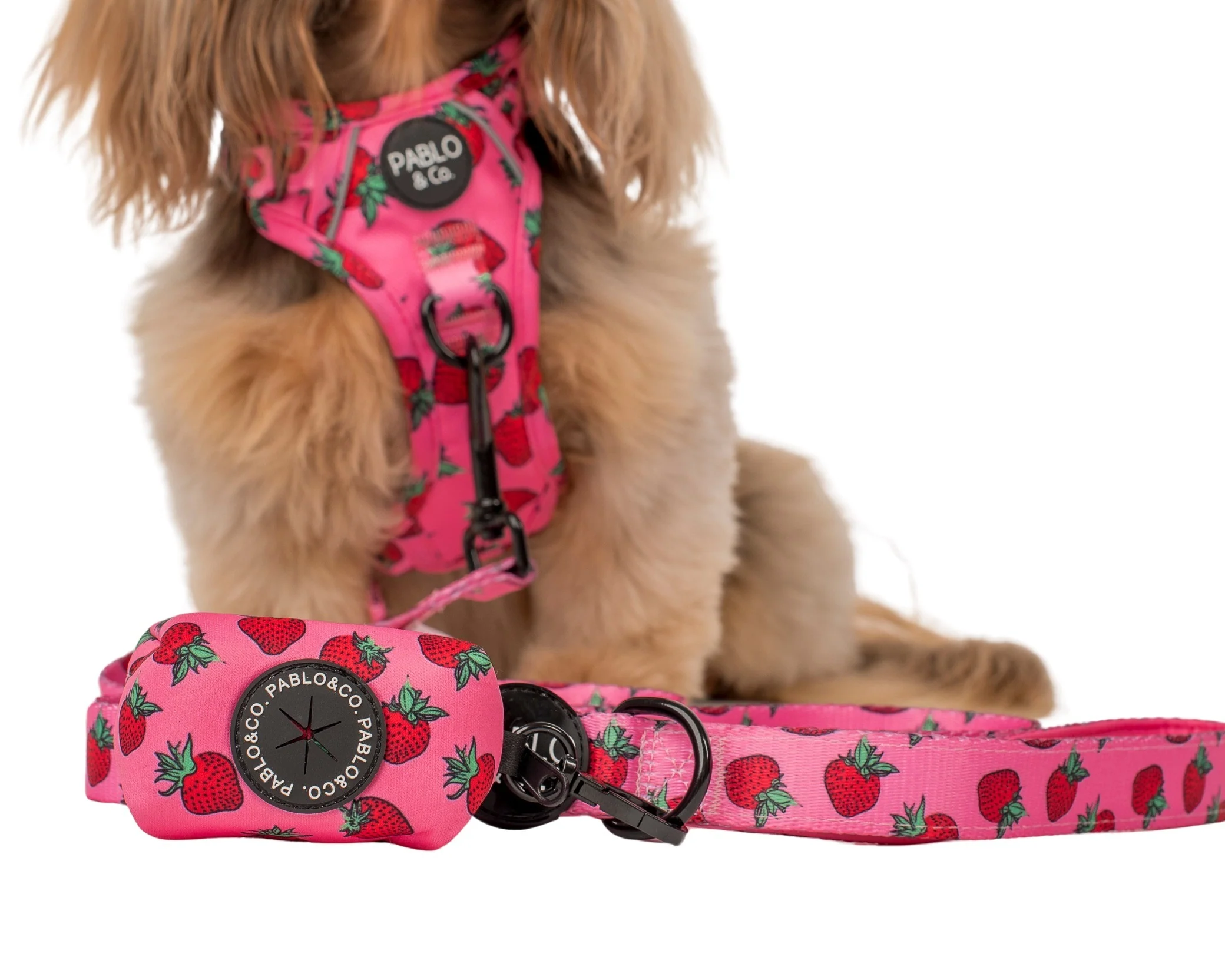 Strawberries - Poop Bag Holder - Image 2