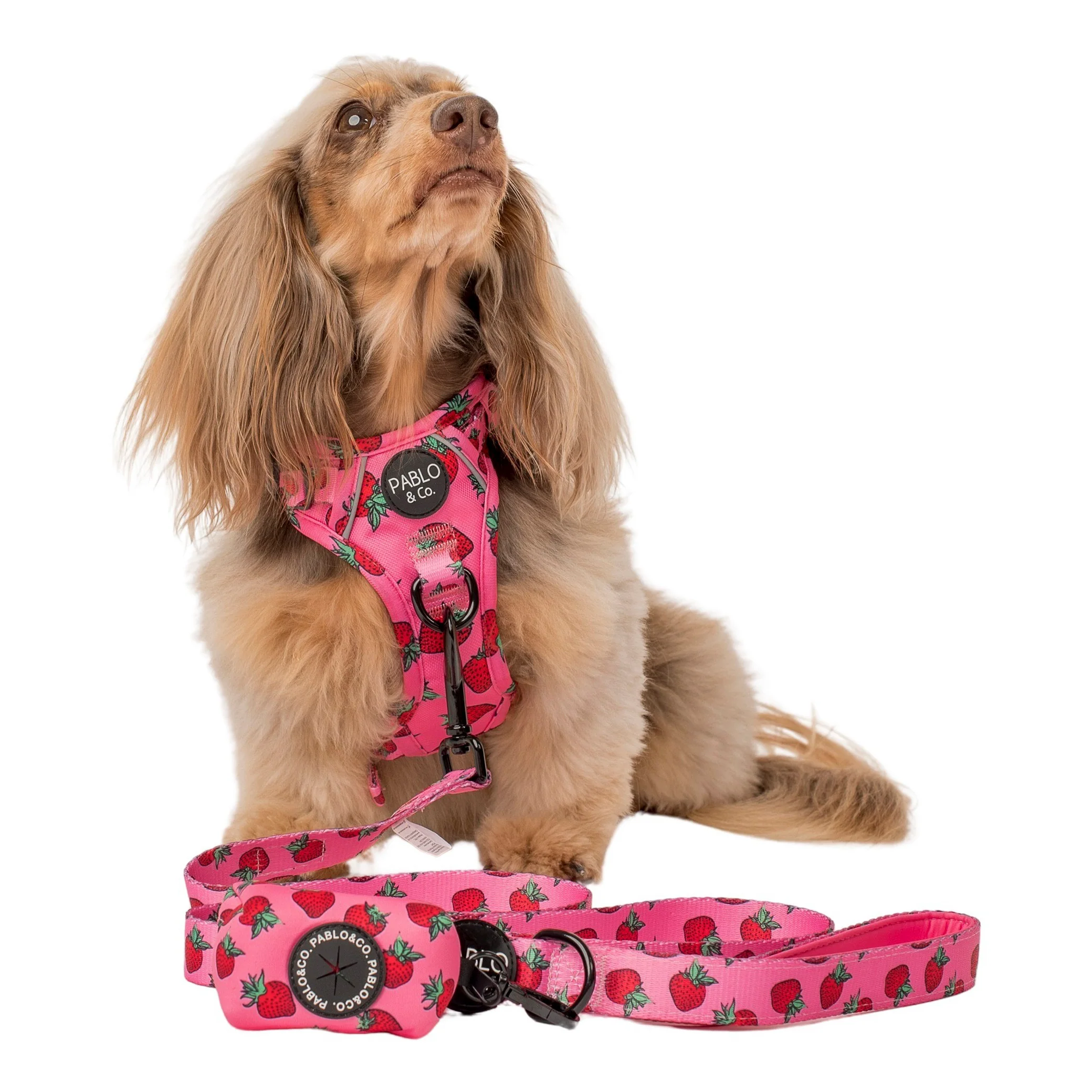 Strawberries - Poop Bag Holder - Image 3